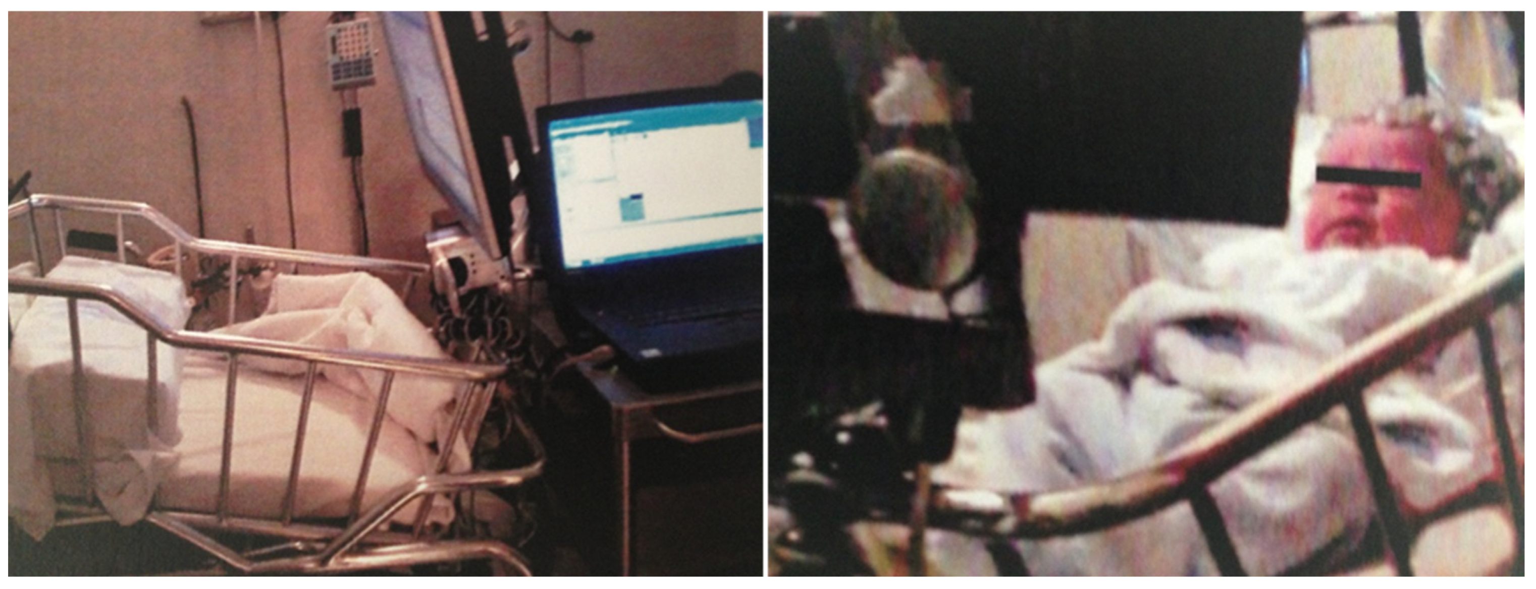 Life 15 01145 g001 Life 15 01145 g001