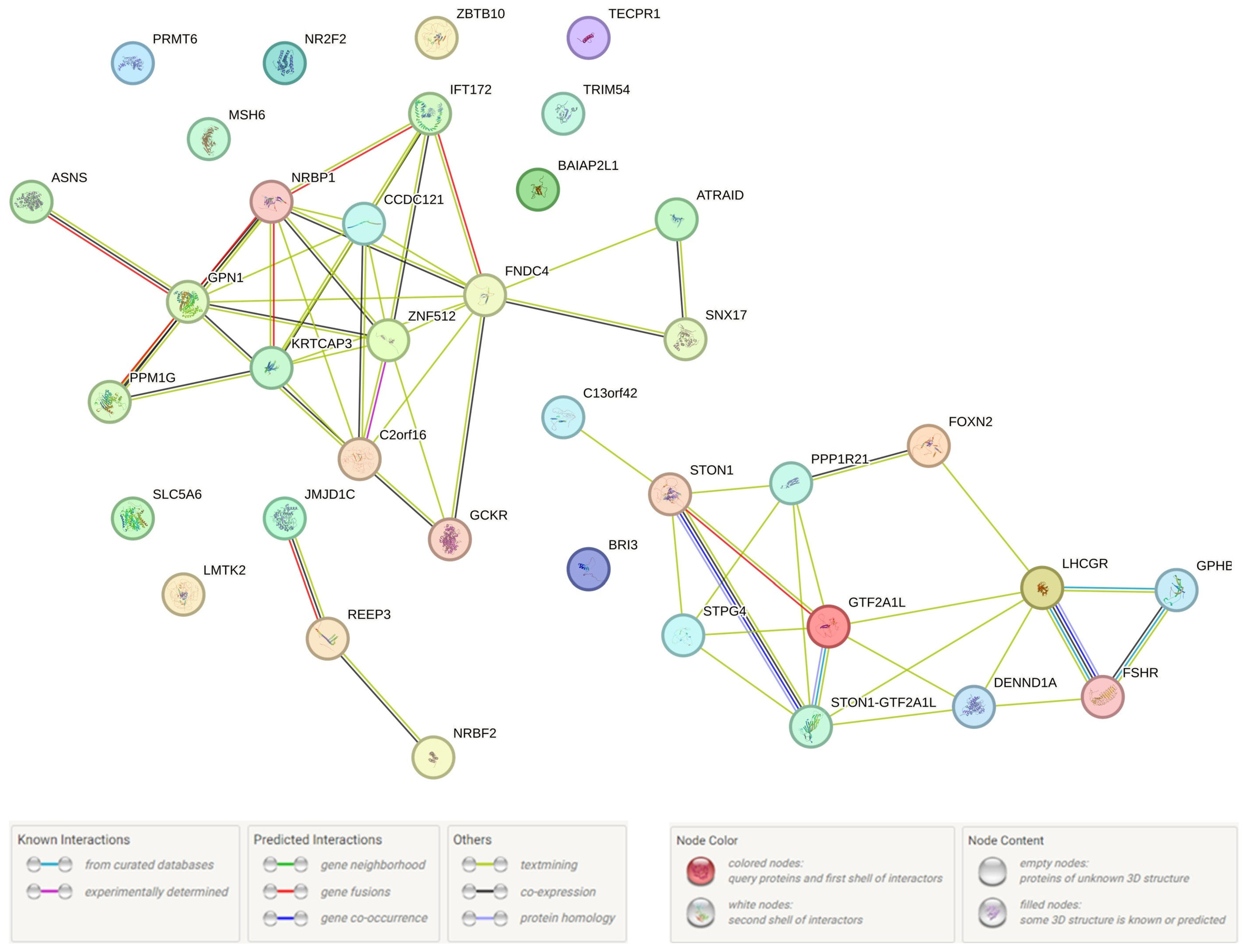 Life 15 01150 g003 Life 15 01150 g003