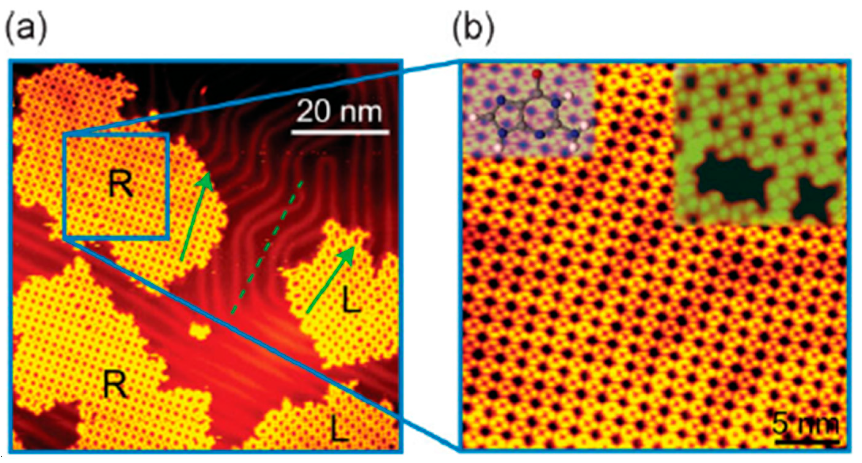 Life 15 01160 g003 Life 15 01160 g003