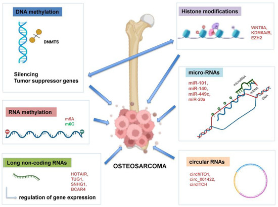 　0908 Epigenetic Modifications in Osteosarcoma: Mechanisms and