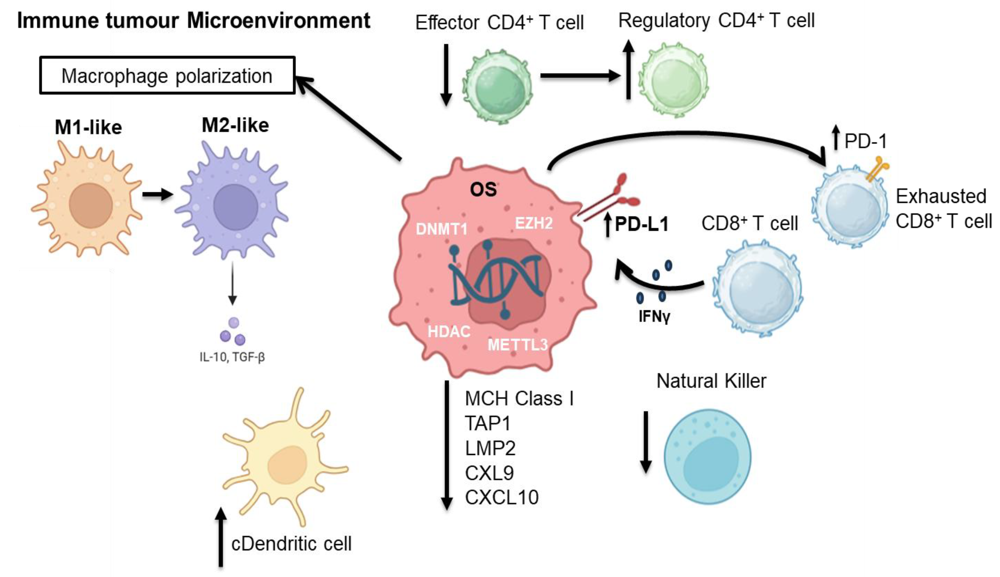 JJ Frontiers | Comprehensive analysis of epigenetics mechanisms