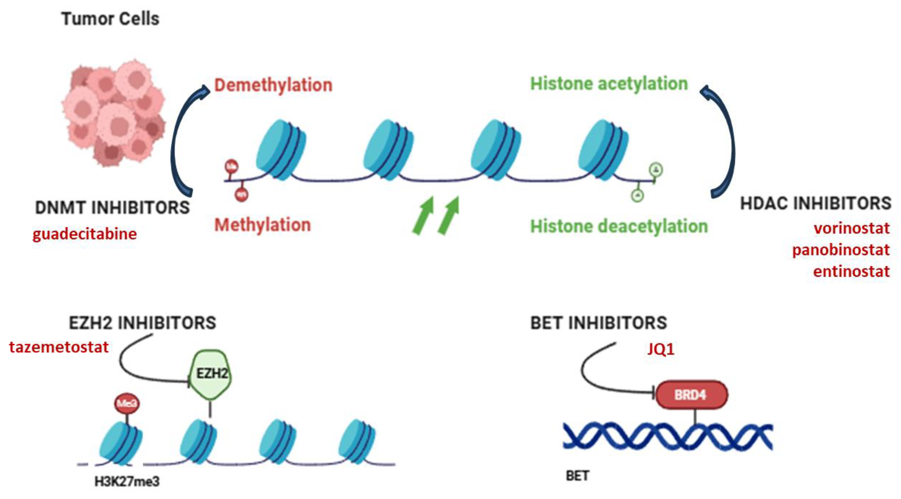Epigenetic Modifications in Osteosarcoma: Mechanisms and