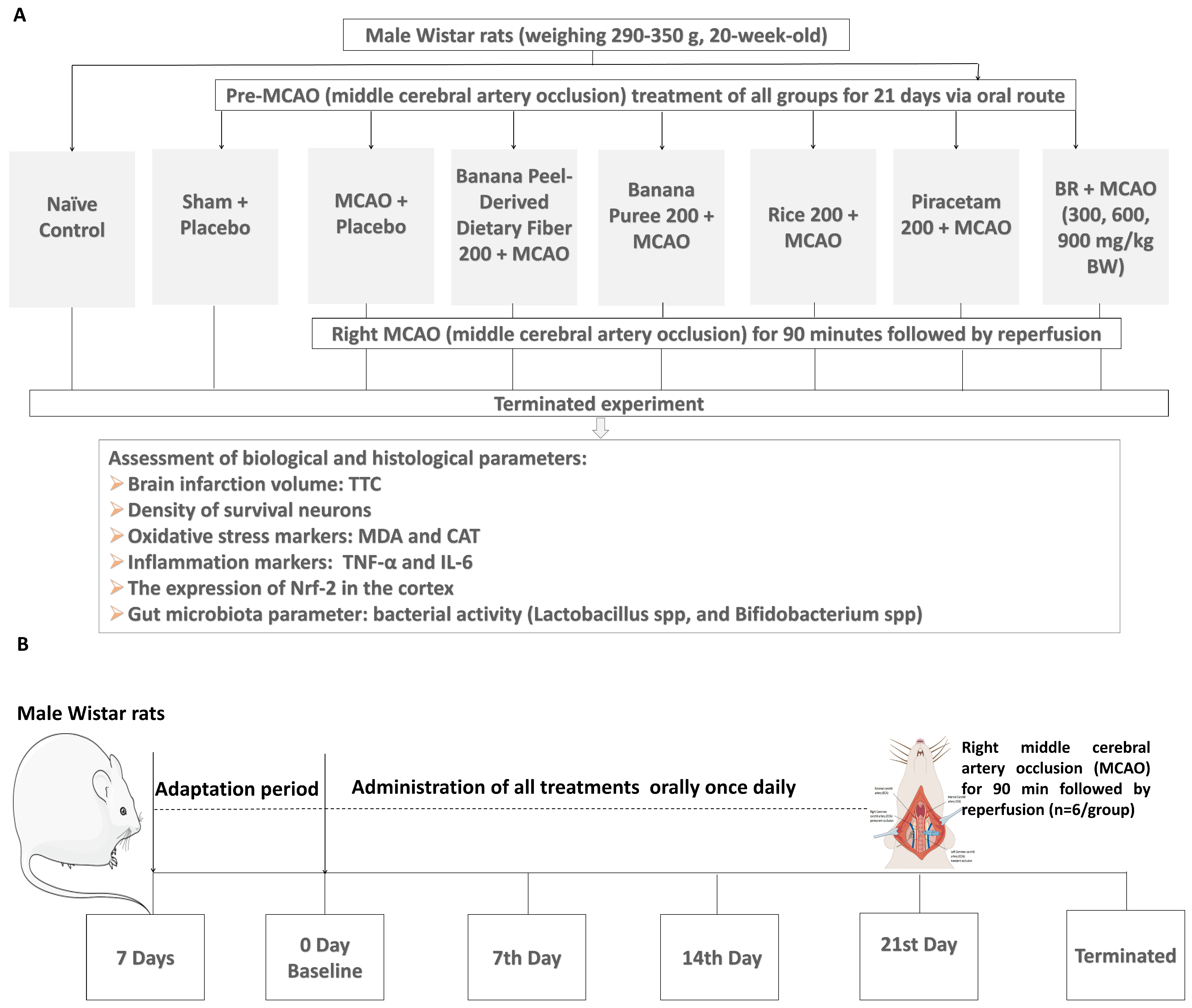 Life 15 01222 g002 Life 15 01222 g002