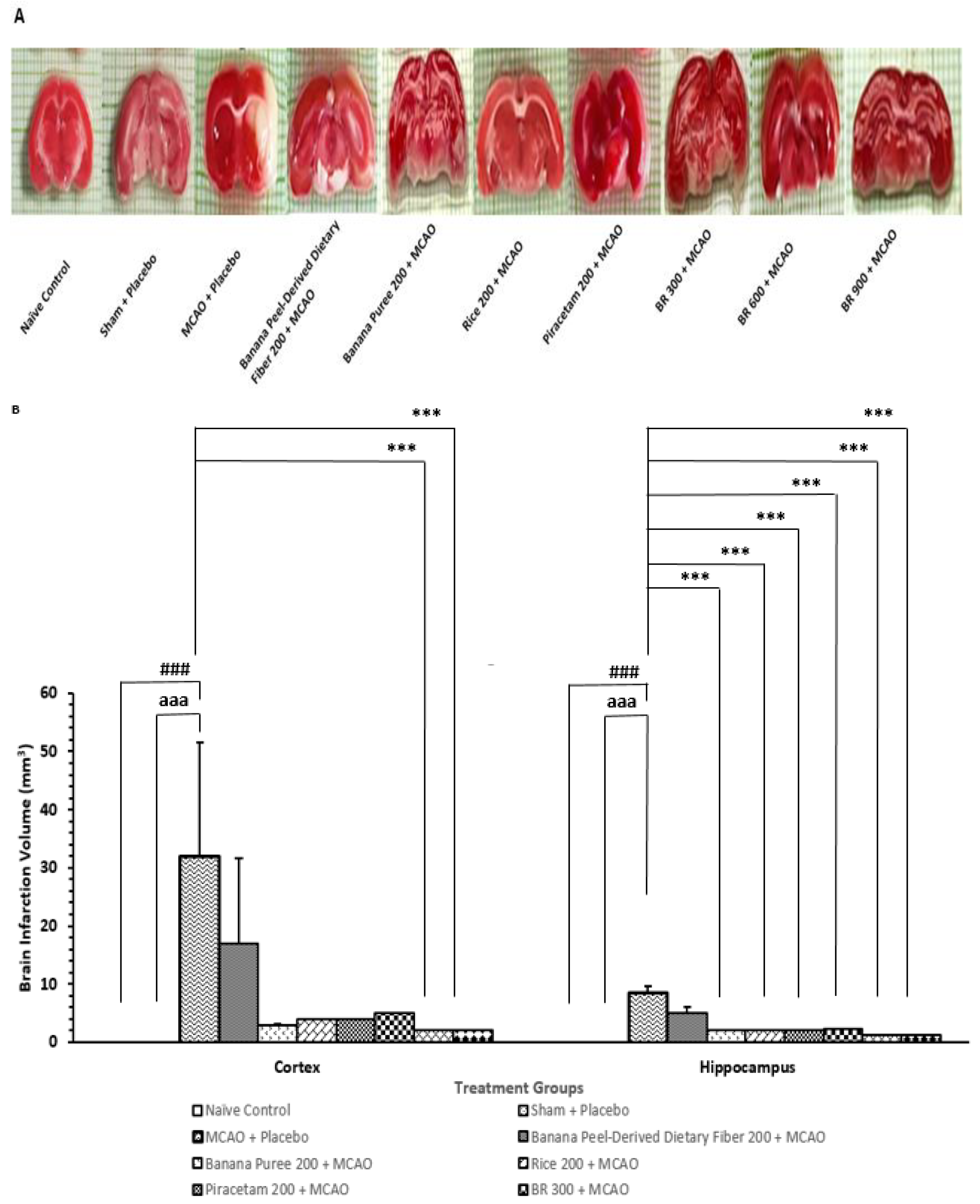 Life 15 01222 g003 Life 15 01222 g003