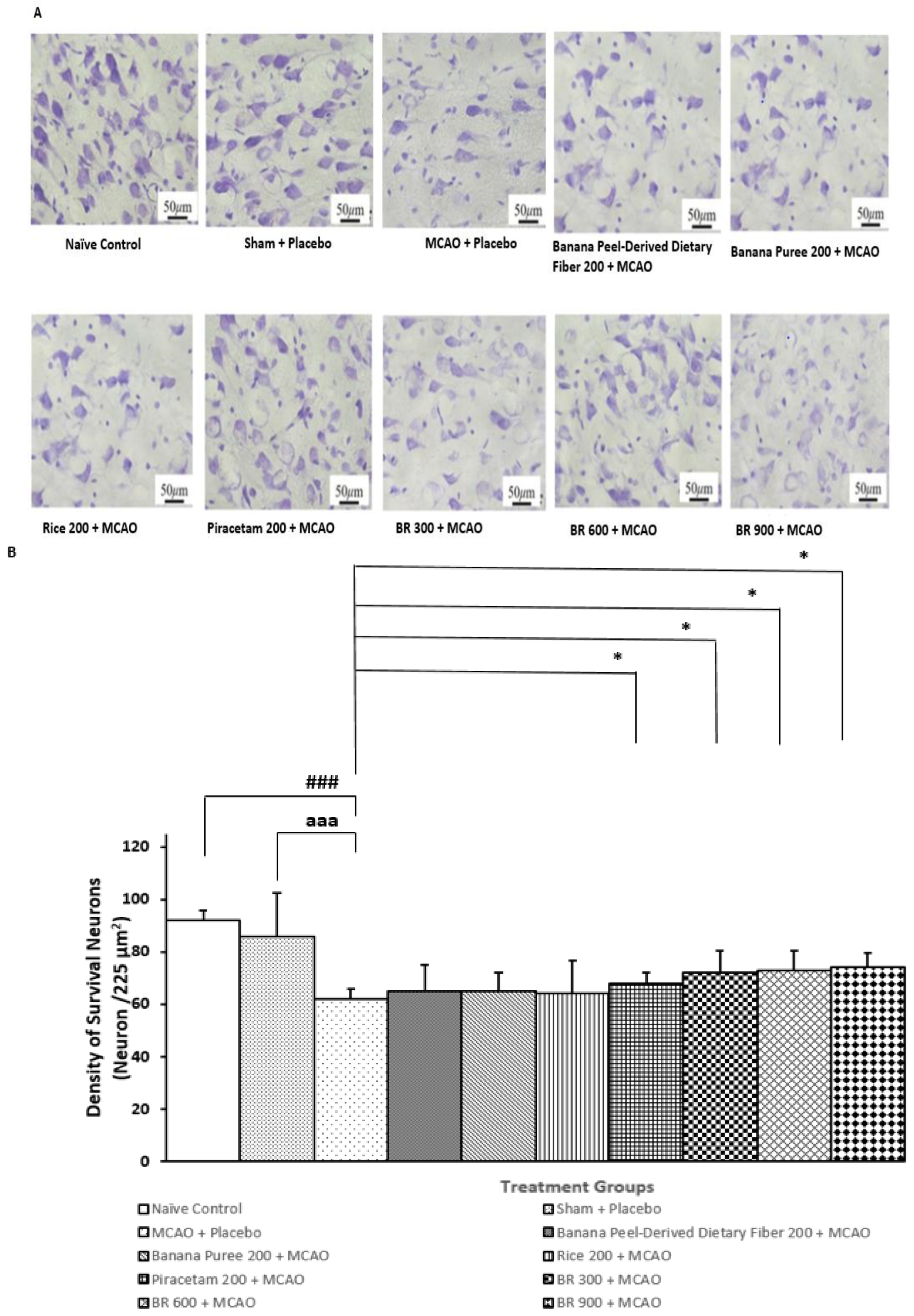 Life 15 01222 g004 Life 15 01222 g004