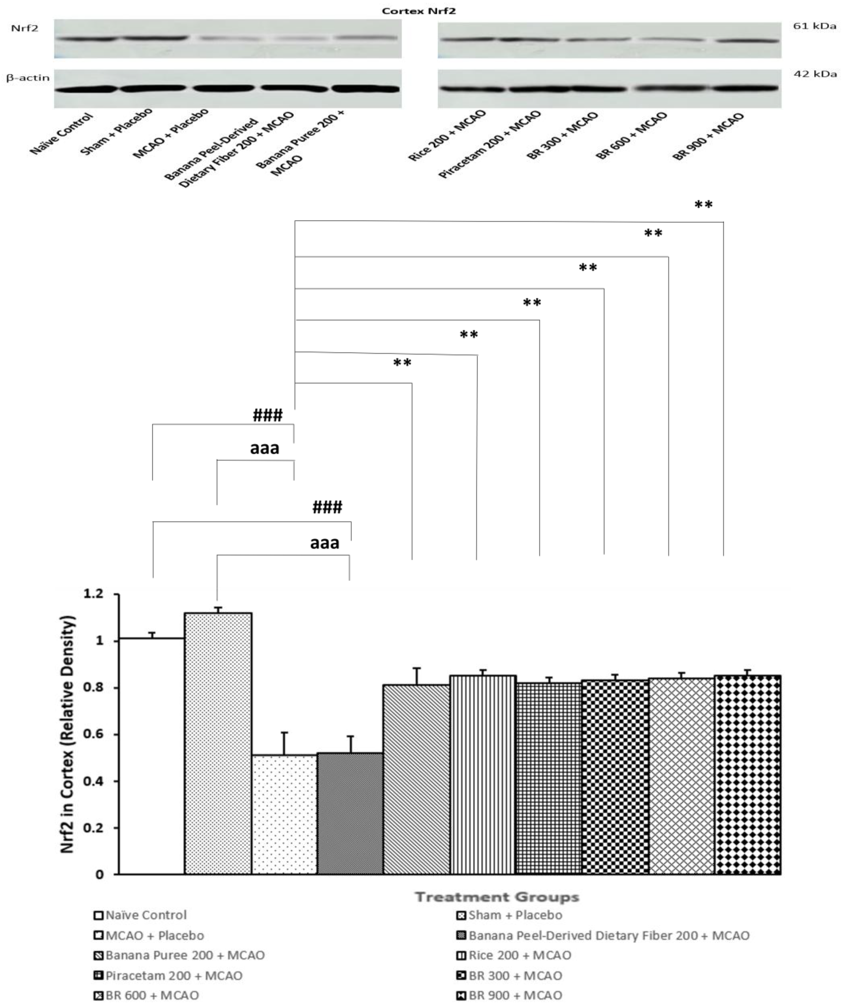 Life 15 01222 g006 Life 15 01222 g006