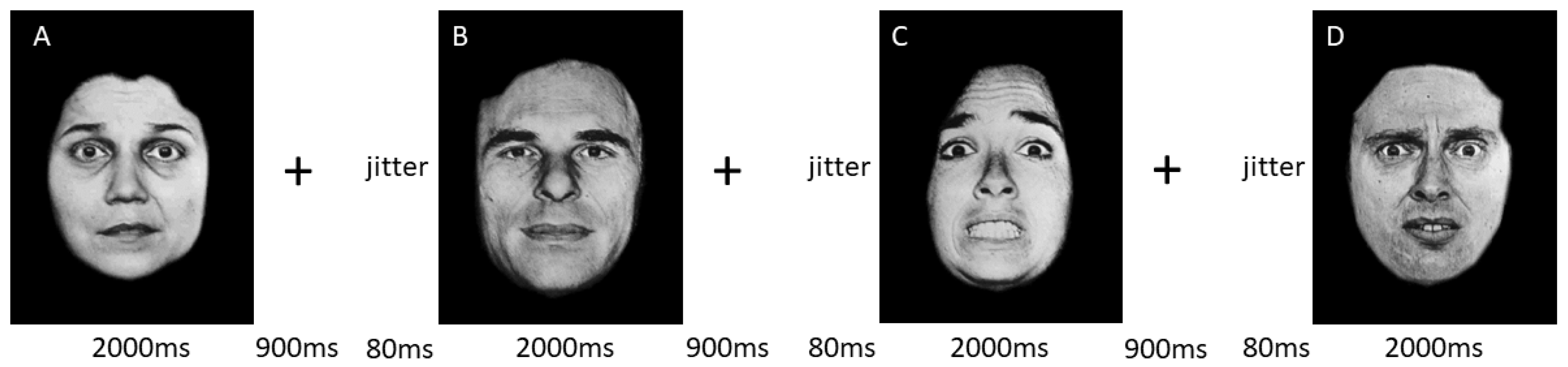 Life 15 01253 g001 Life 15 01253 g001