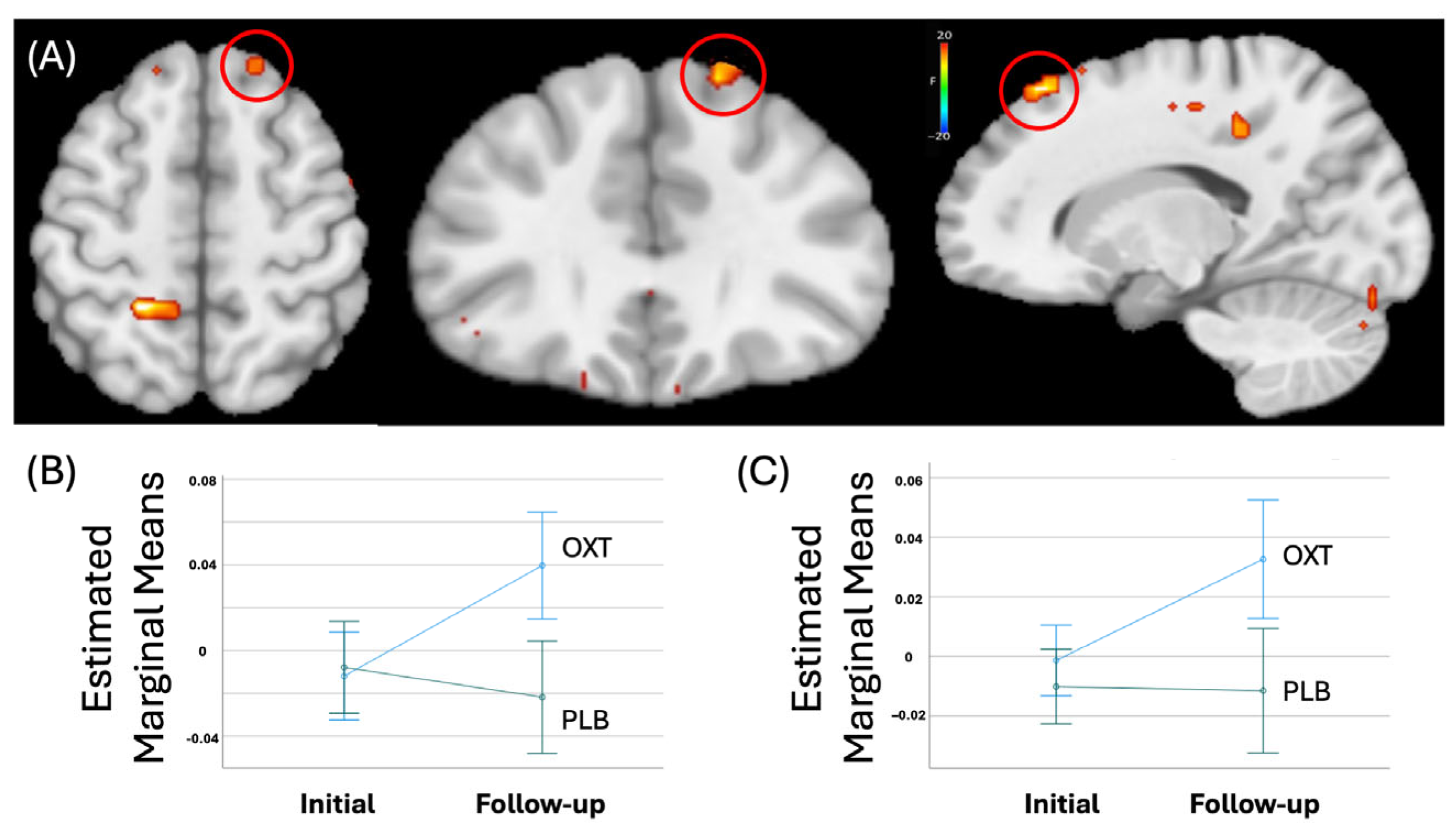 Life 15 01253 g002 Life 15 01253 g002