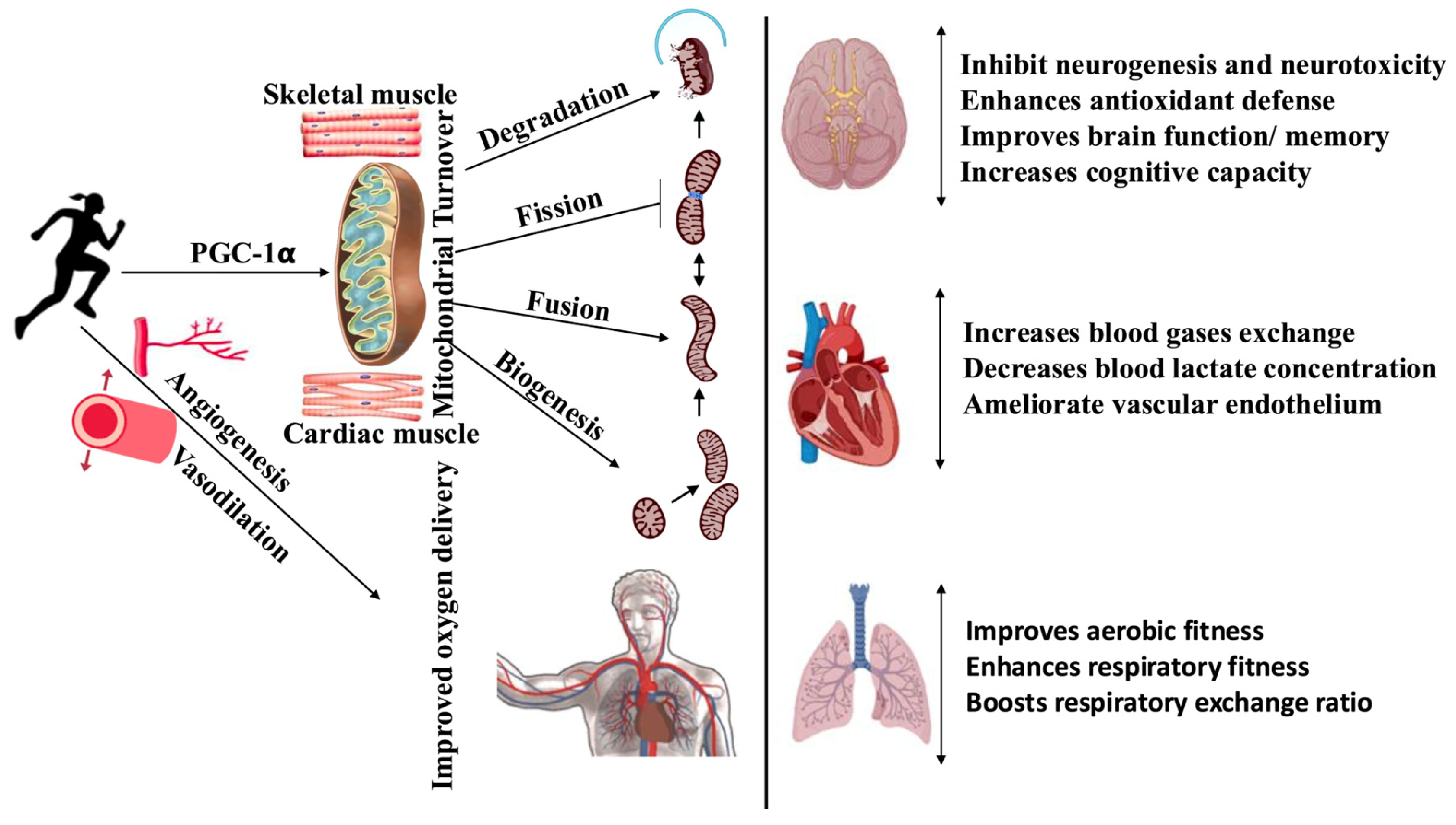 Life 15 01255 g001 Life 15 01255 g001