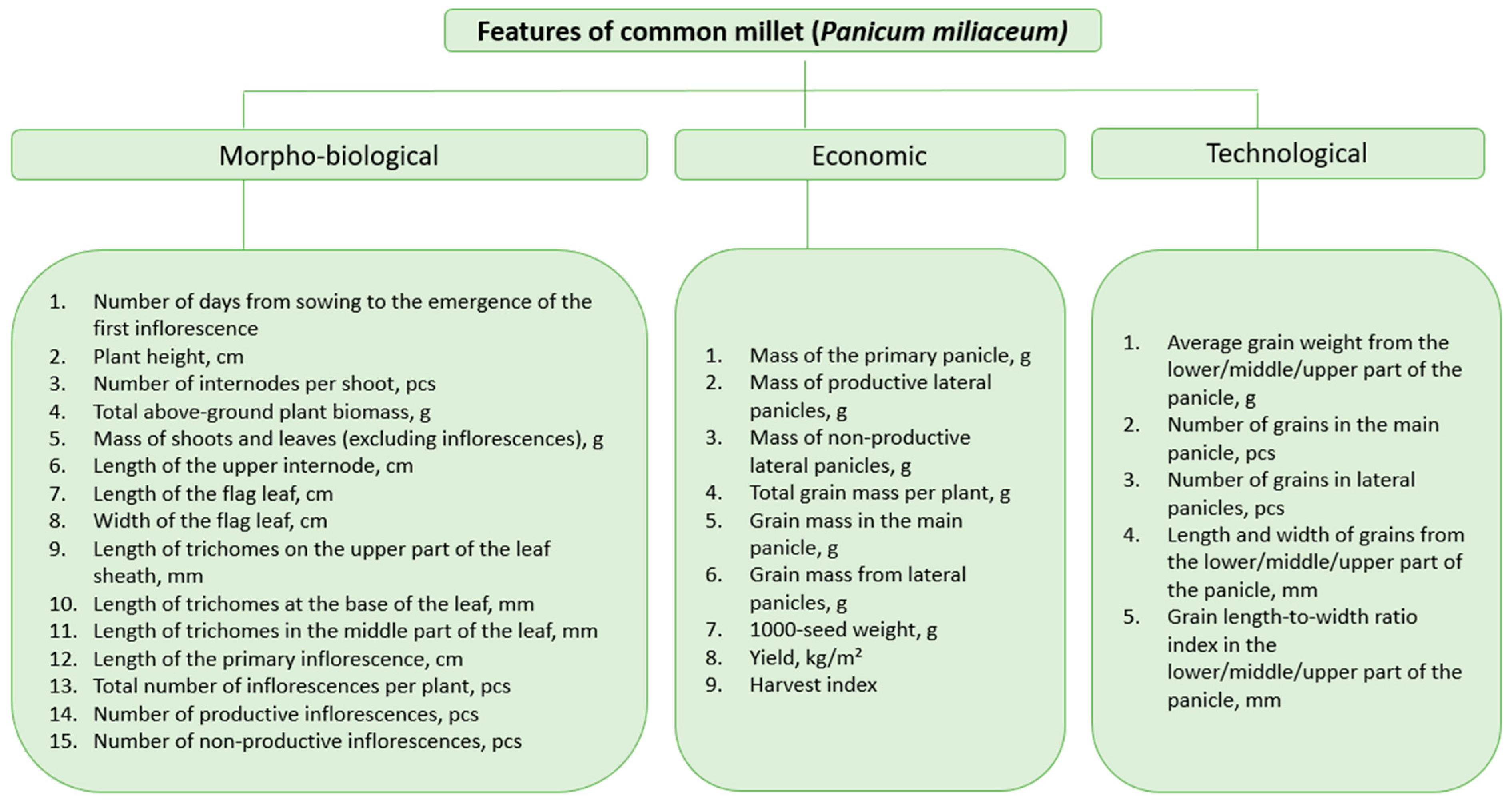 Life 15 01261 g001 Life 15 01261 g001