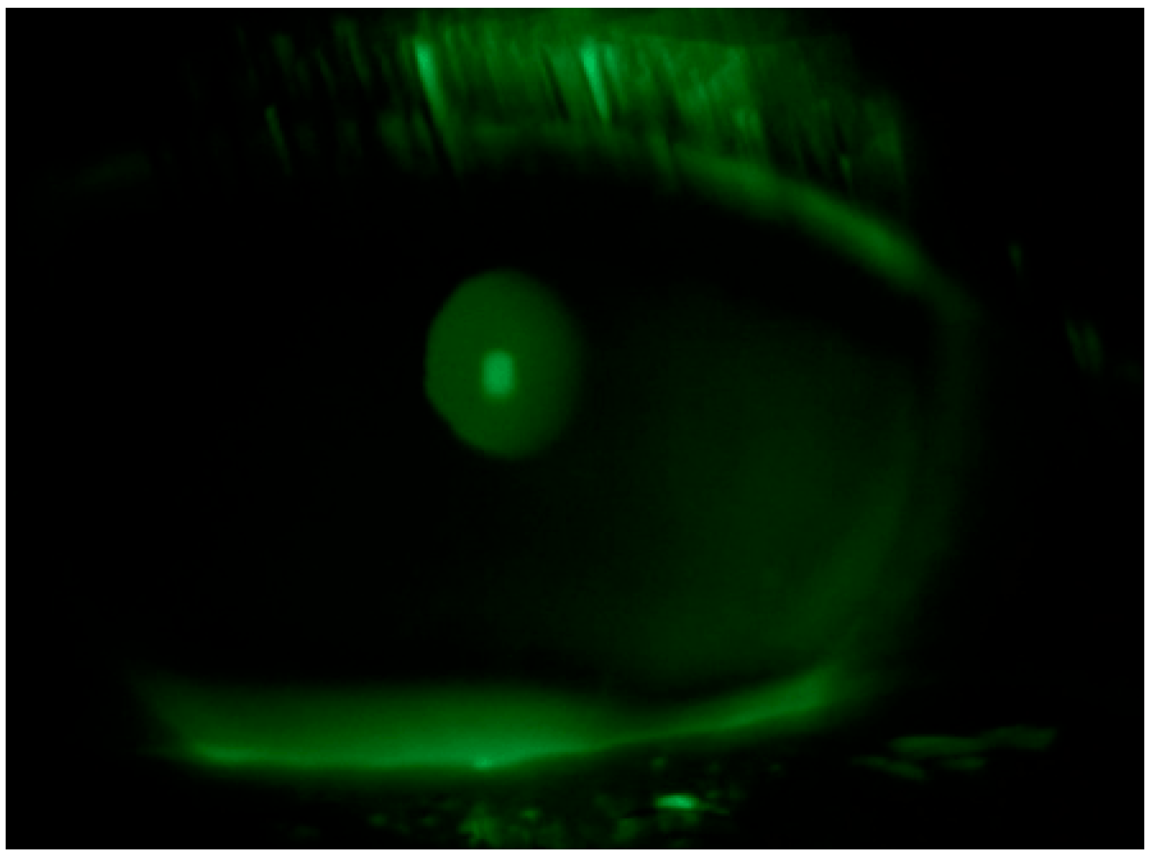 Life 15 01289 g003 Life 15 01289 g003