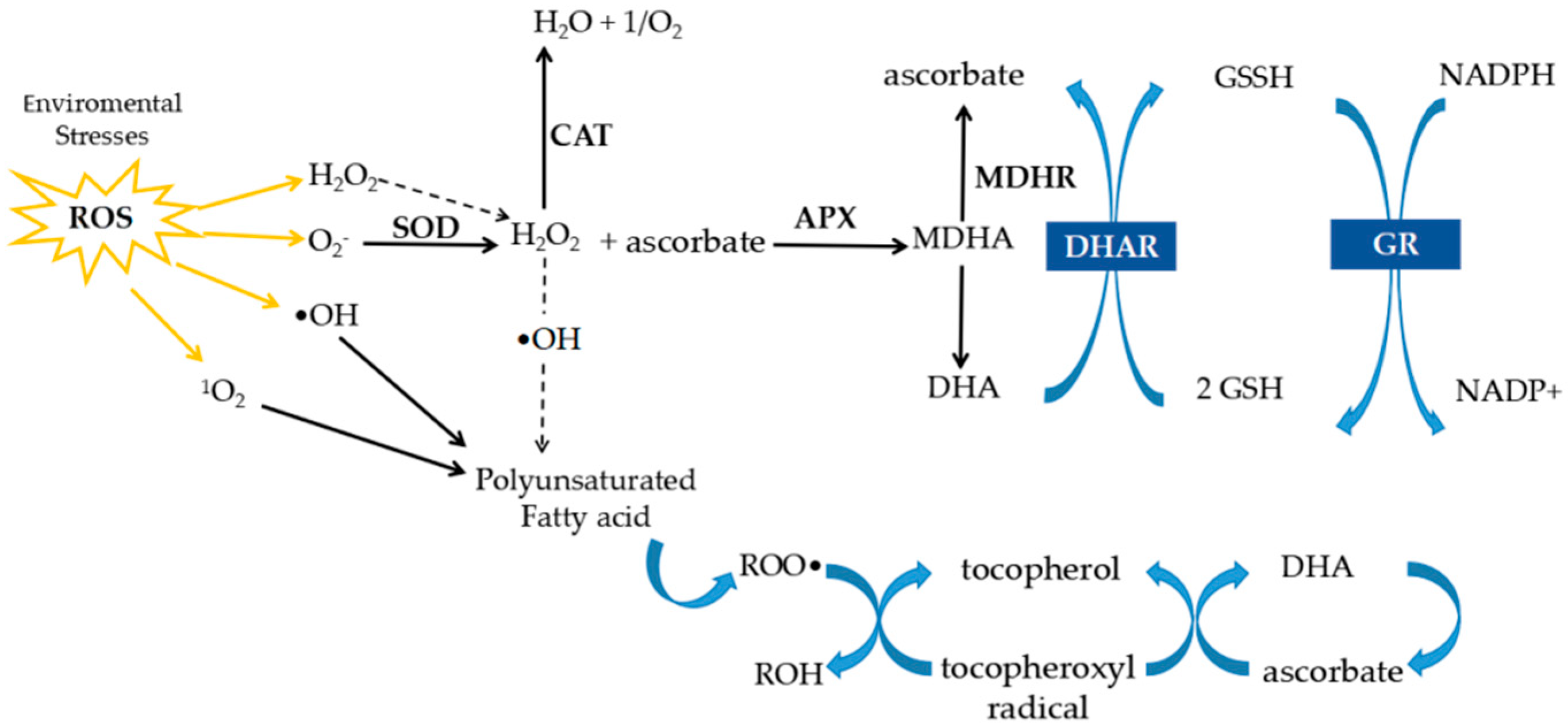 Life 15 01293 g001 Life 15 01293 g001