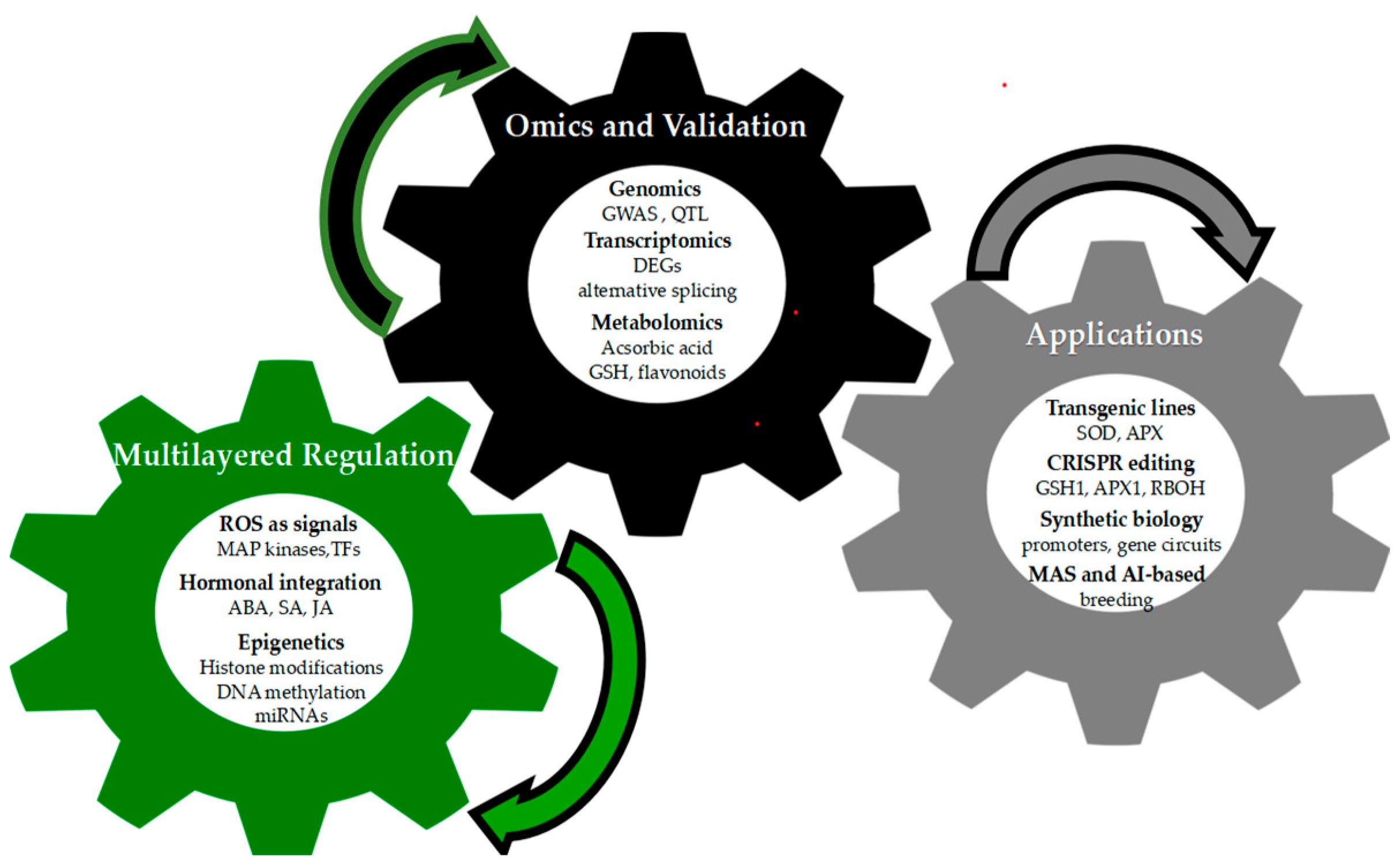 Life 15 01293 g003 Life 15 01293 g003