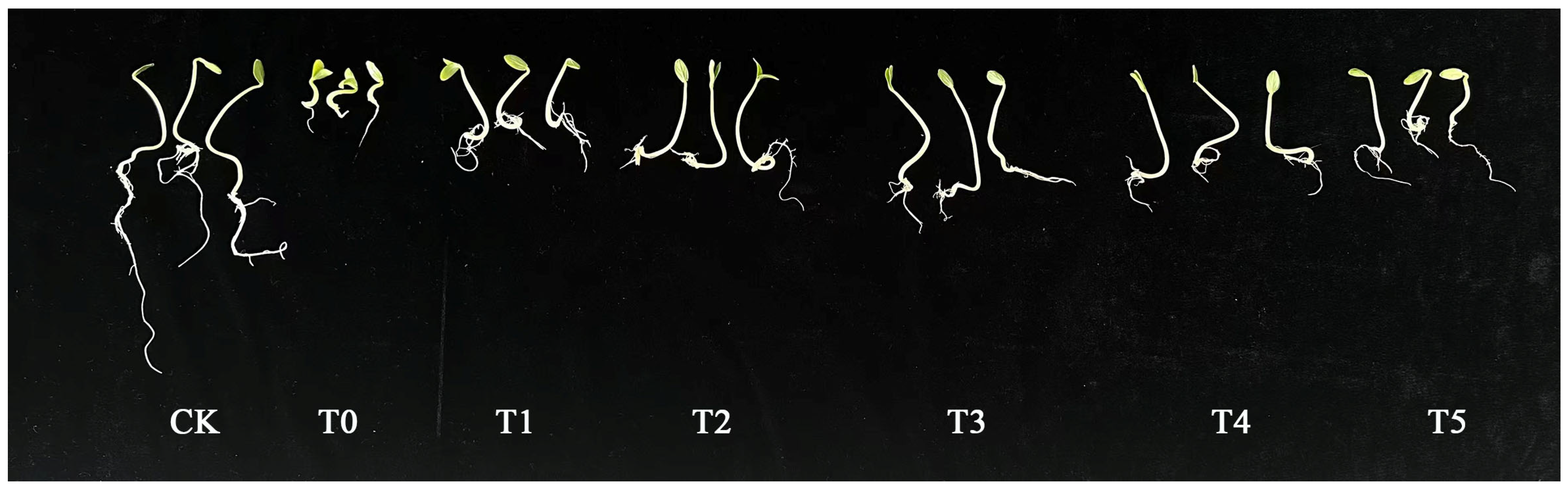 Life 15 01294 g001 Life 15 01294 g001