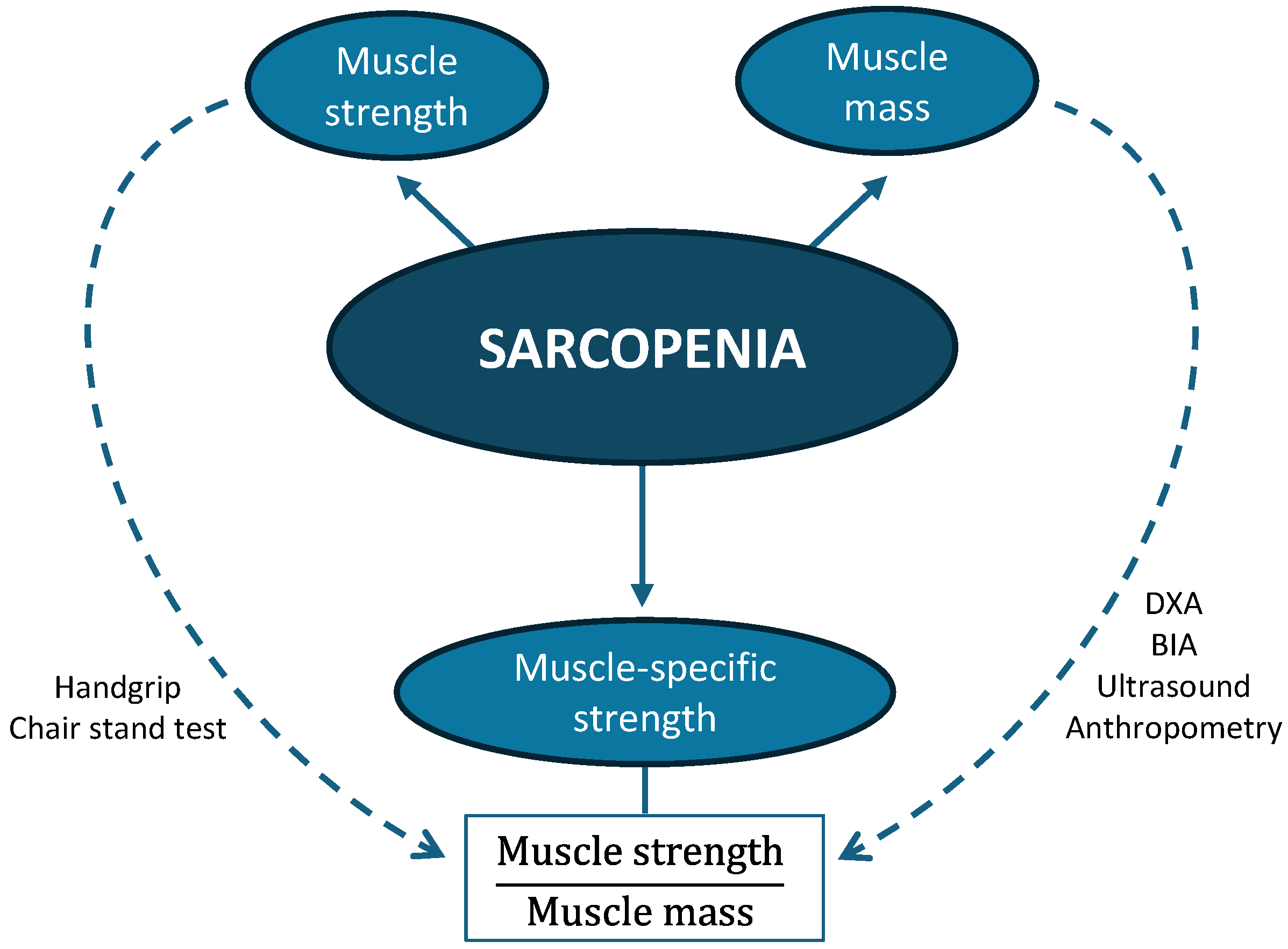 Life 15 01300 g001 Life 15 01300 g001