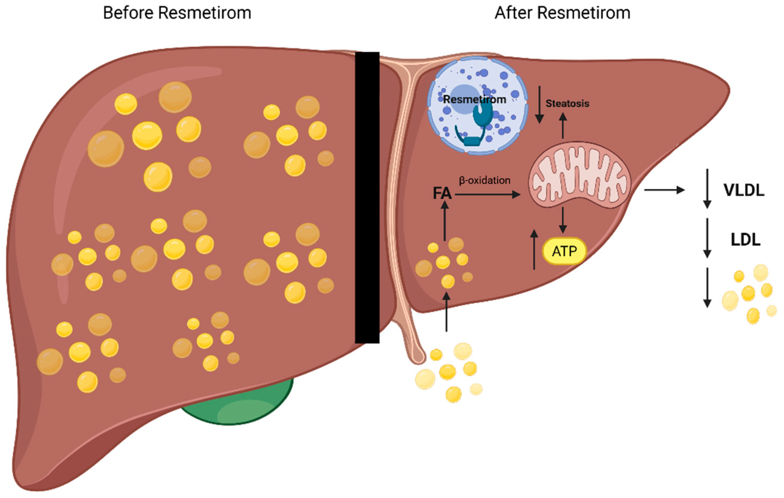 Life 15 01306 g001 Life 15 01306 g001