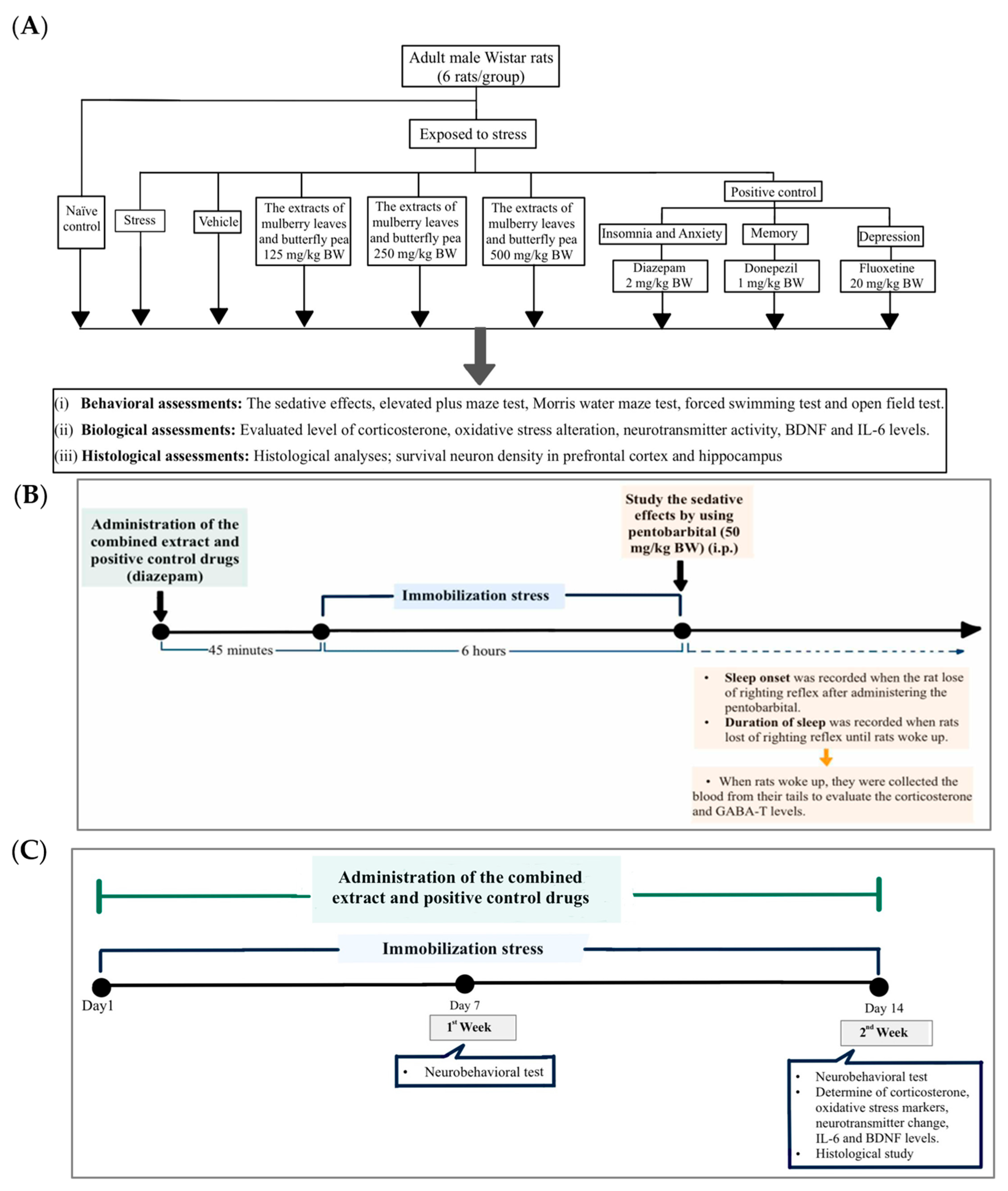 Life 15 01308 g001 Life 15 01308 g001