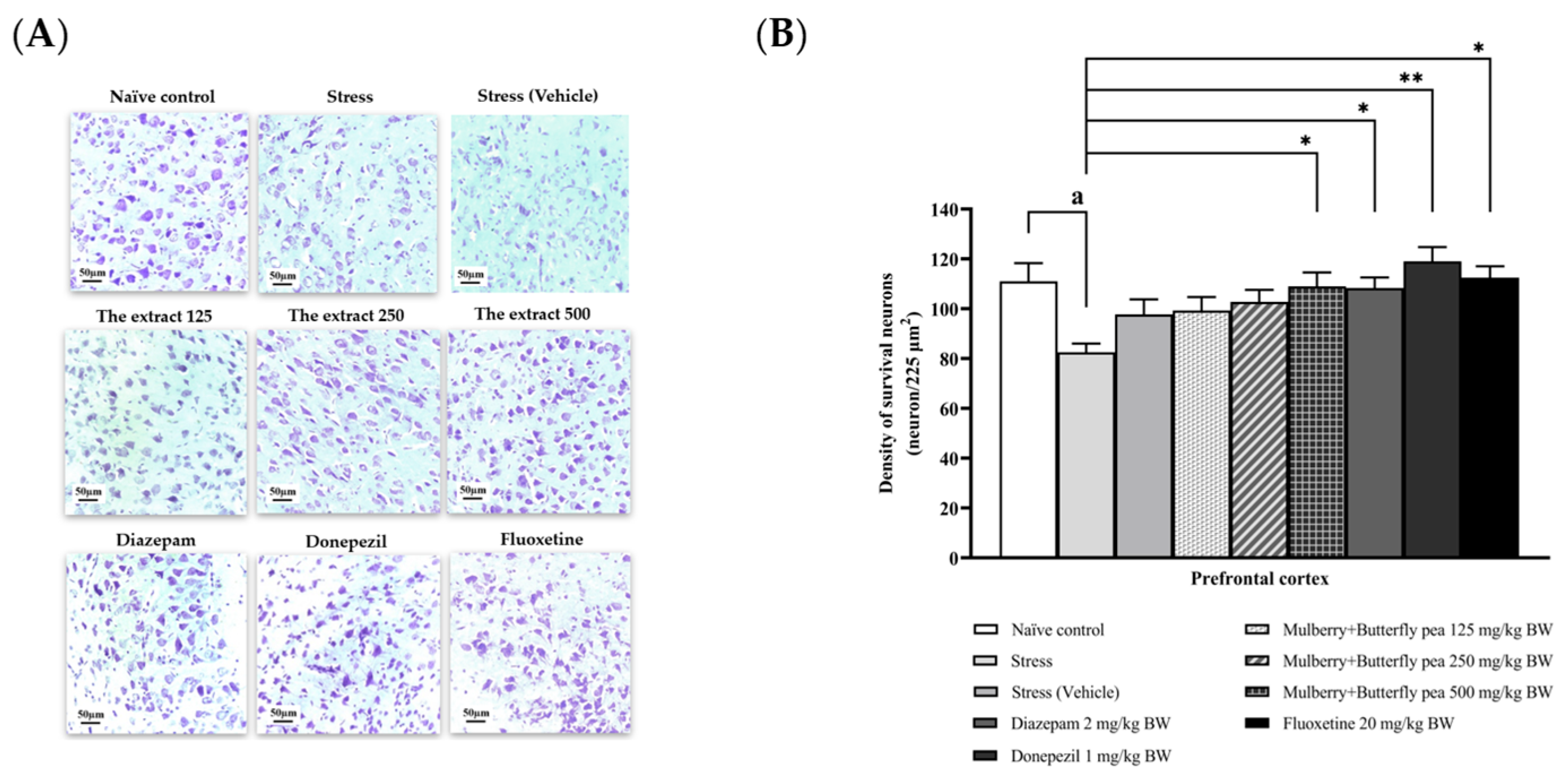 Life 15 01308 g012 Life 15 01308 g012