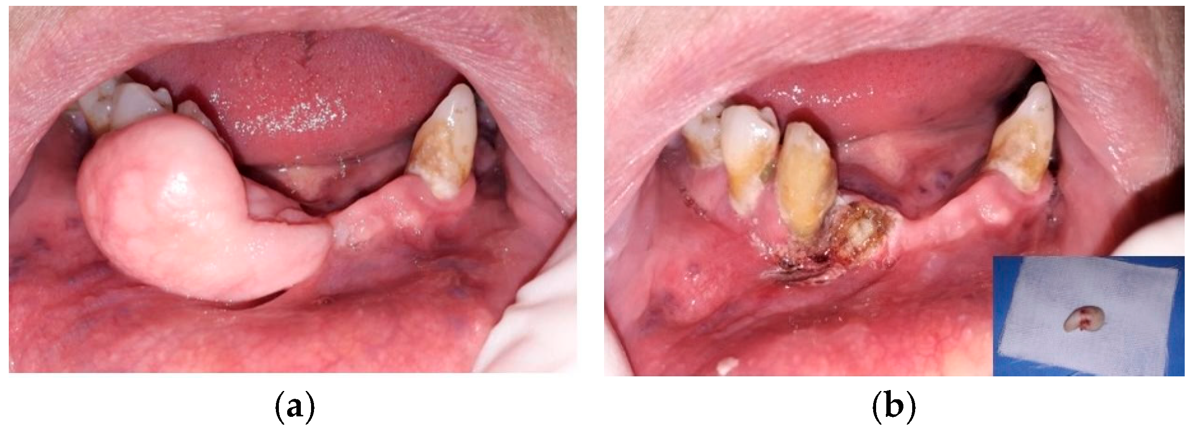 Life 15 01343 g001 Life 15 01343 g001