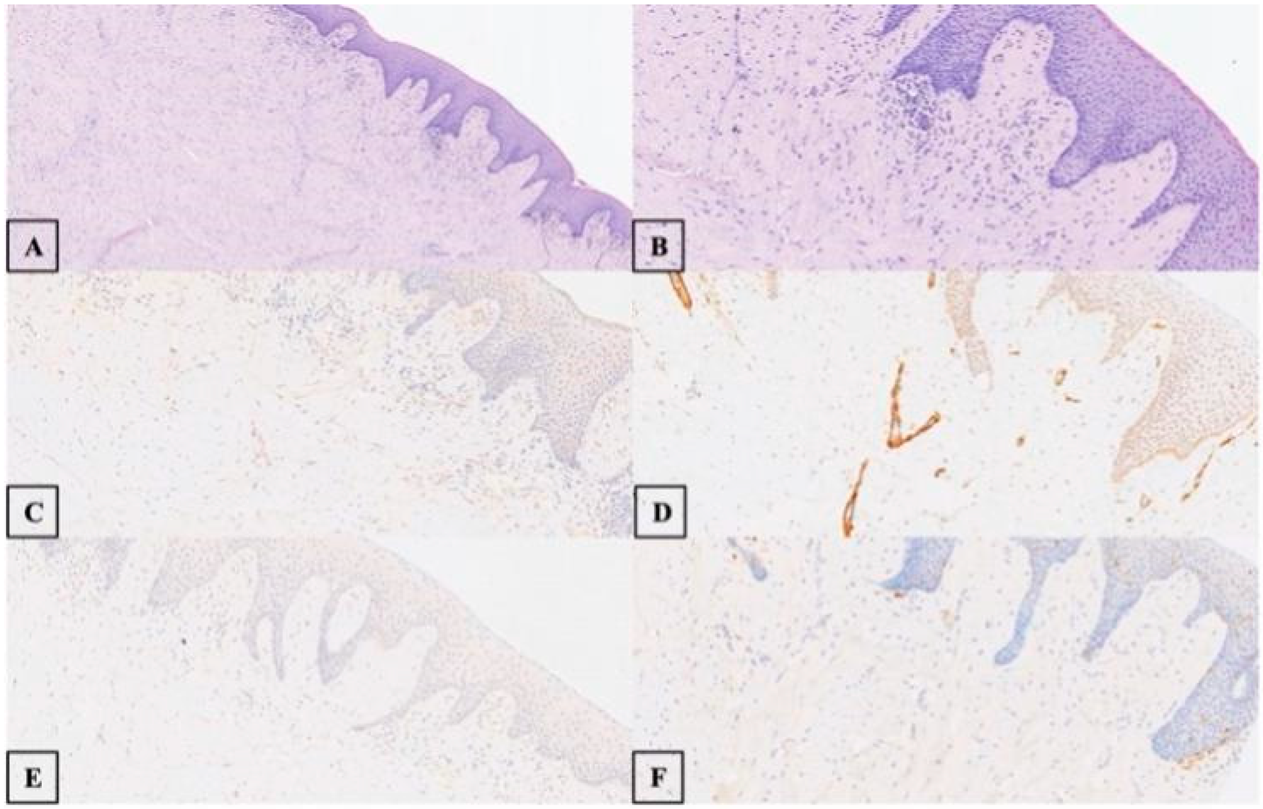 Life 15 01343 g002 Life 15 01343 g002