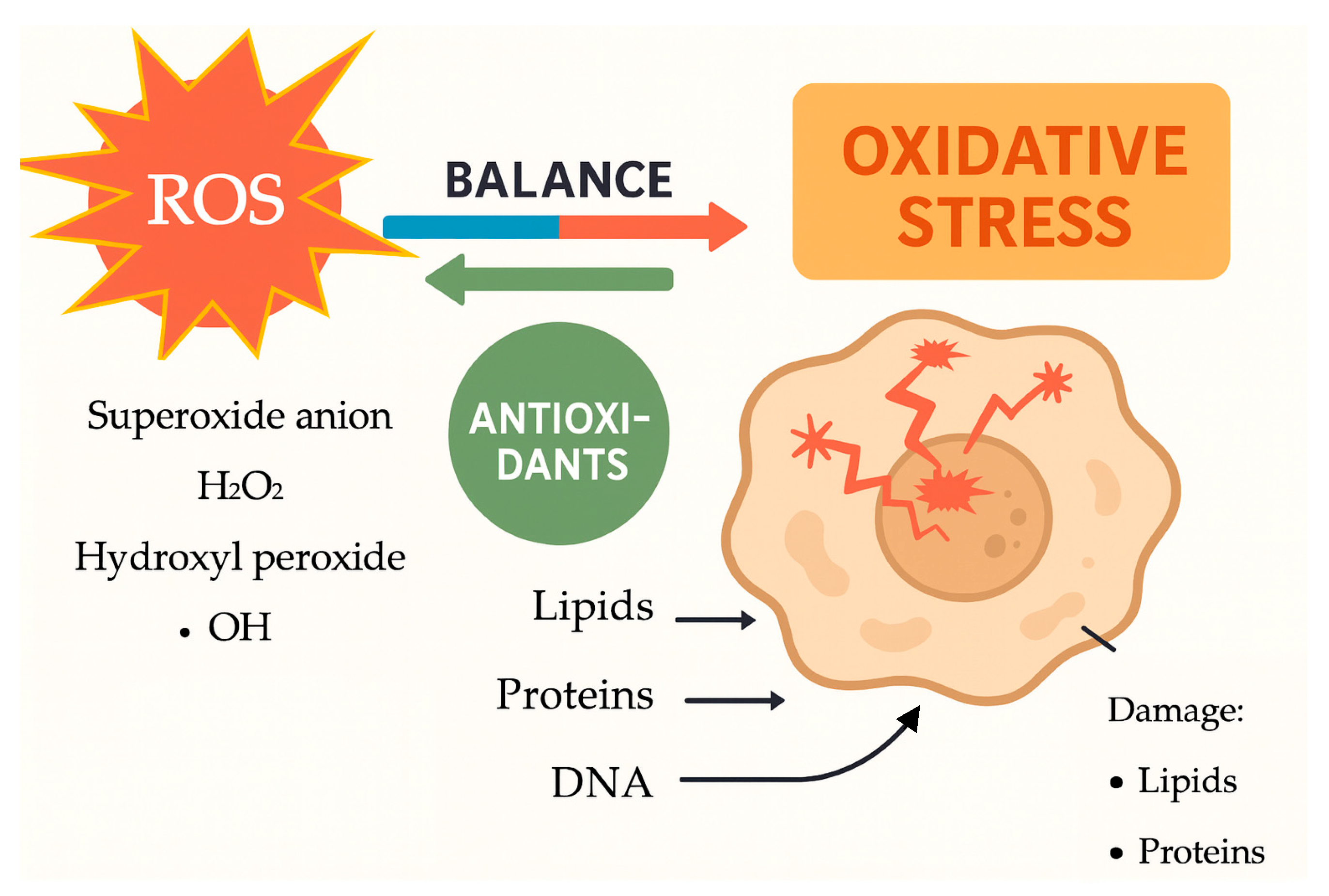 Life 15 01348 g001 Life 15 01348 g001