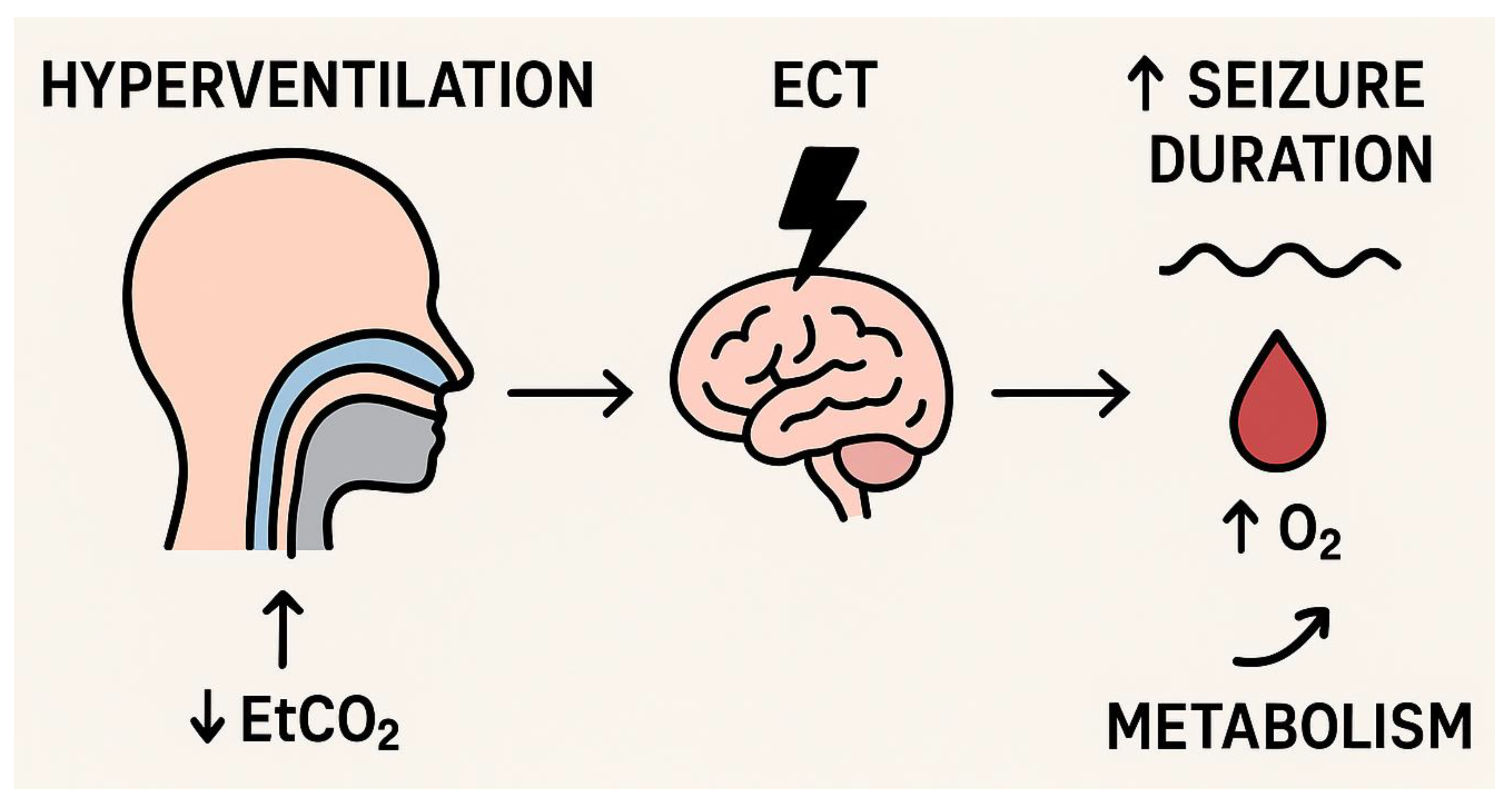 Life 15 01368 g003 Life 15 01368 g003
