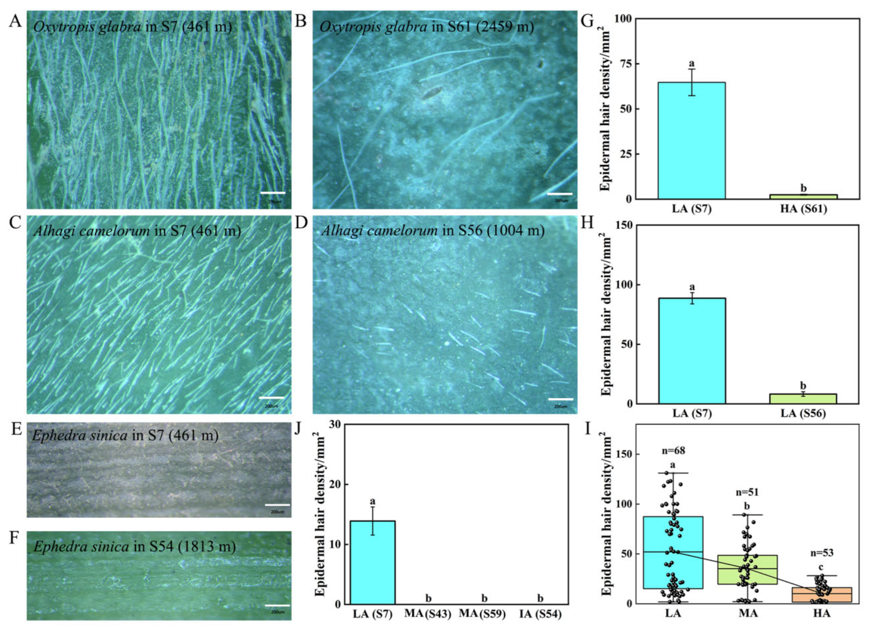 Life 15 01375 g002 Life 15 01375 g002