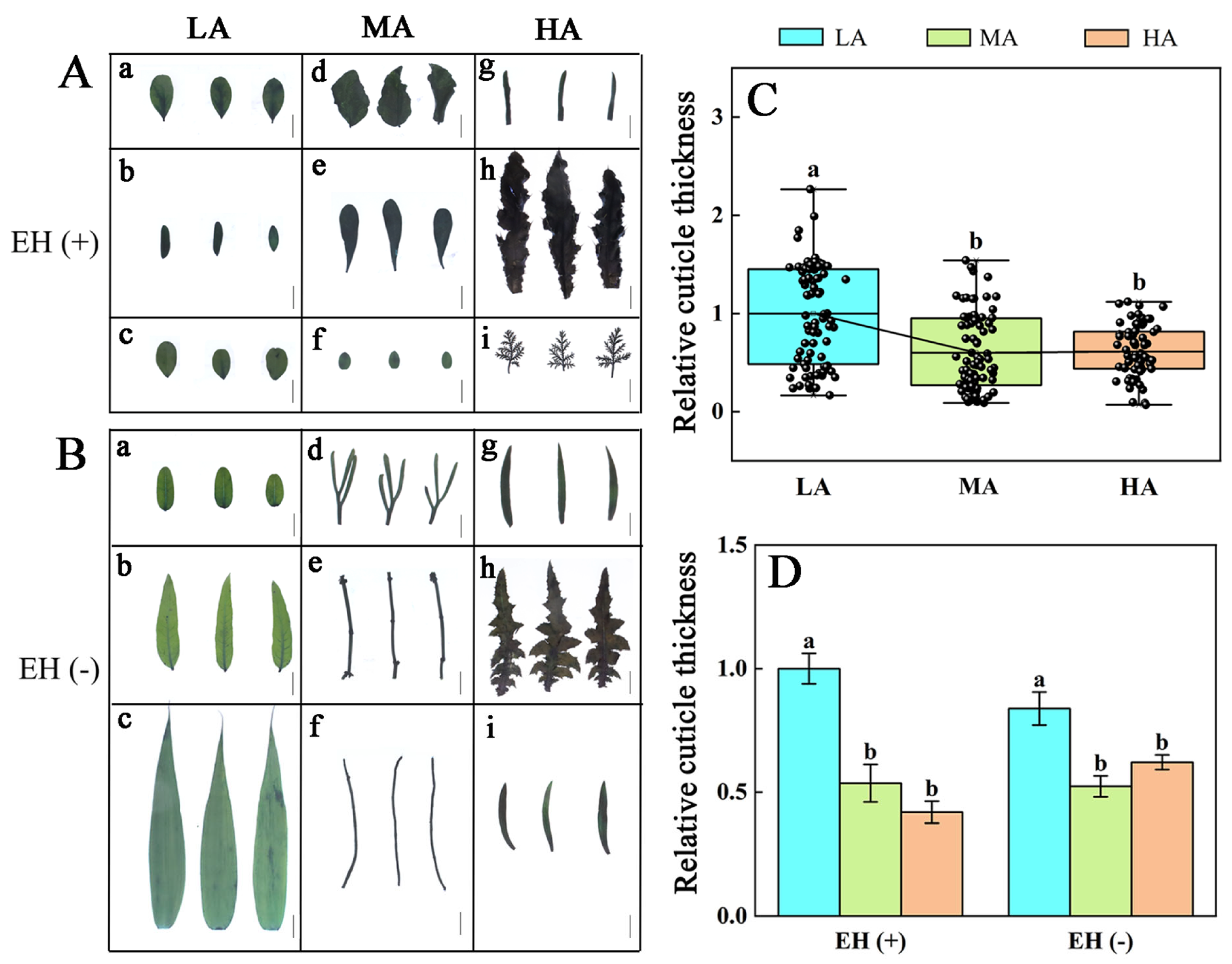 Life 15 01375 g003 Life 15 01375 g003