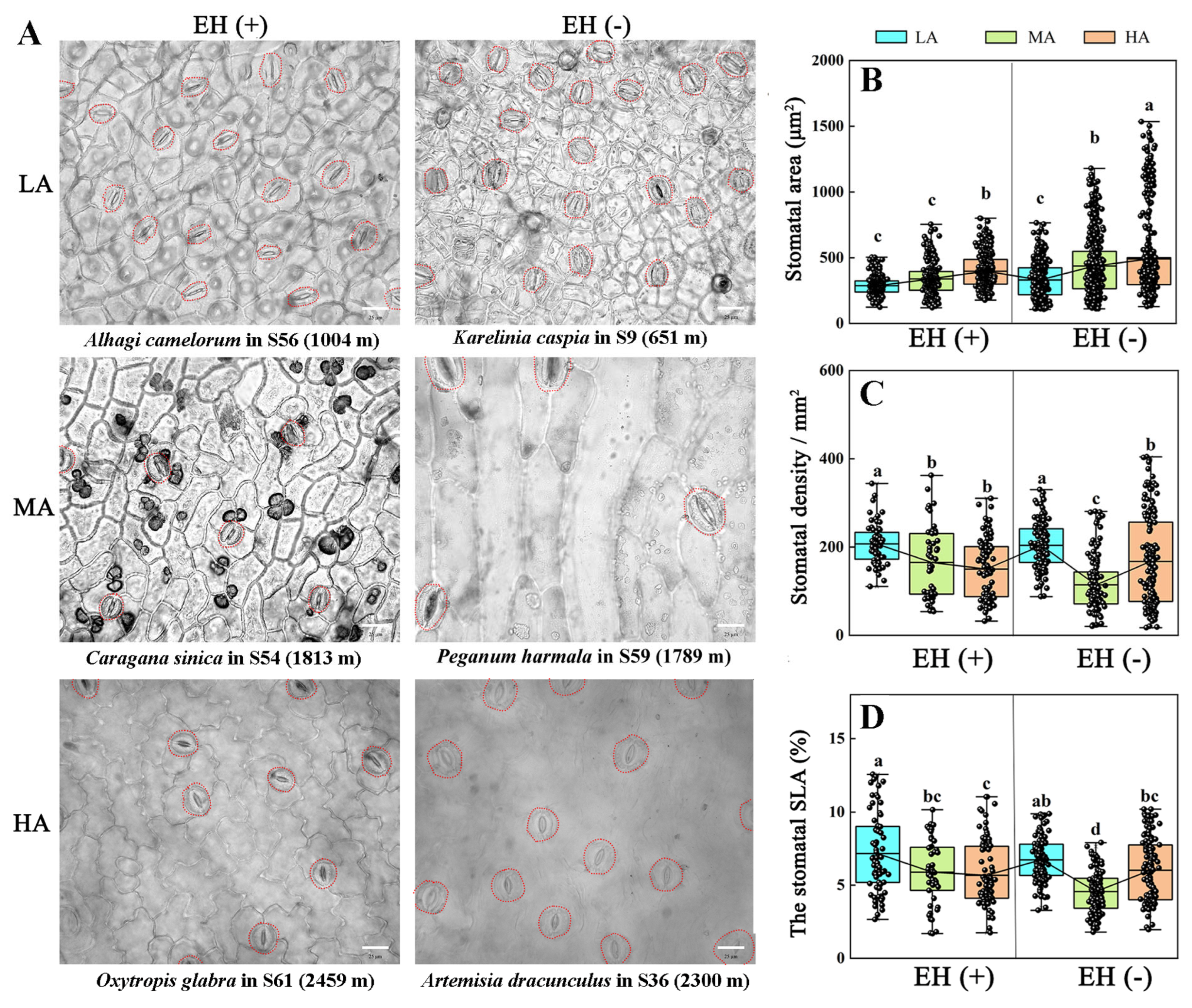Life 15 01375 g005 Life 15 01375 g005