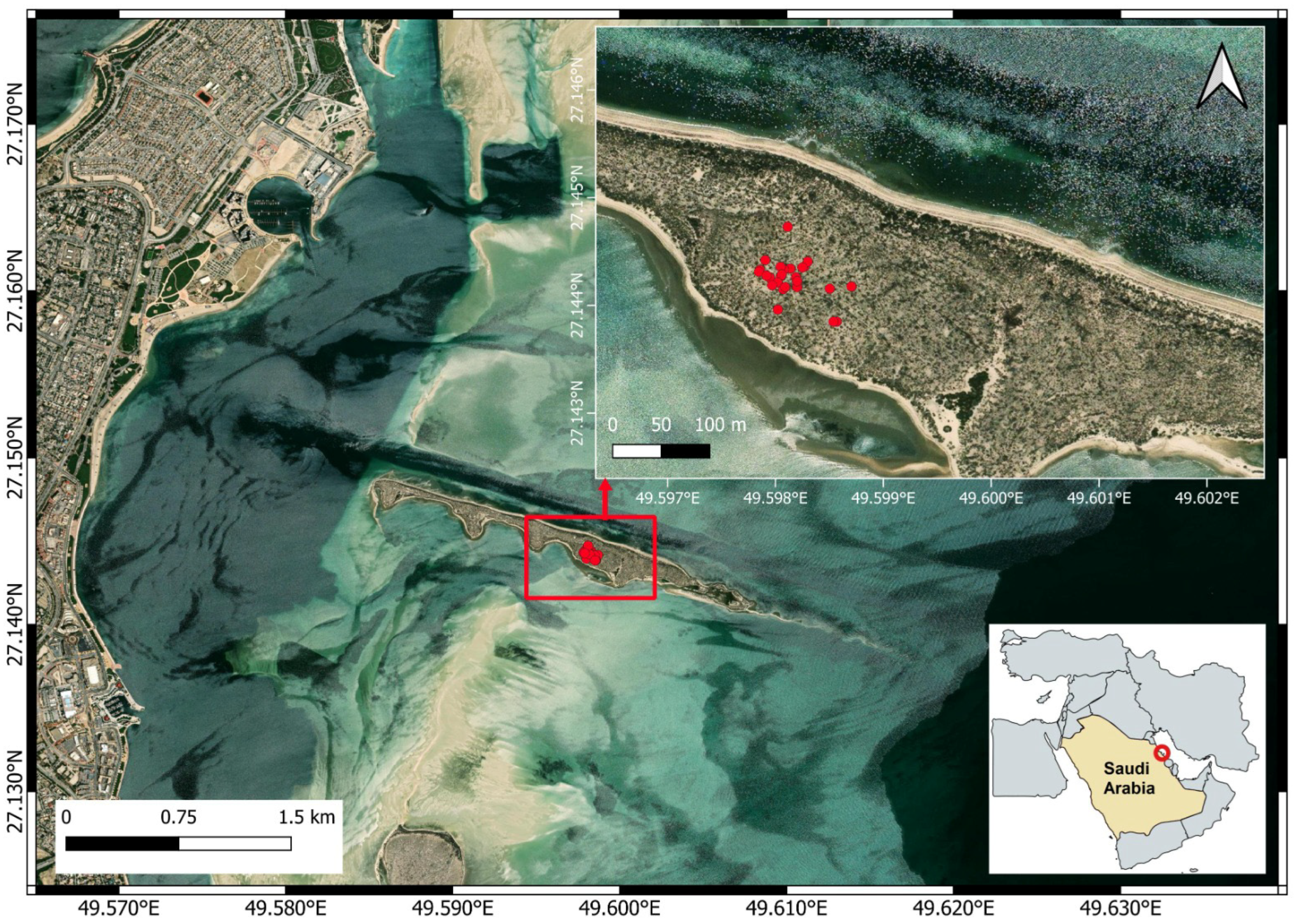 Life 15 01380 g001 Life 15 01380 g001