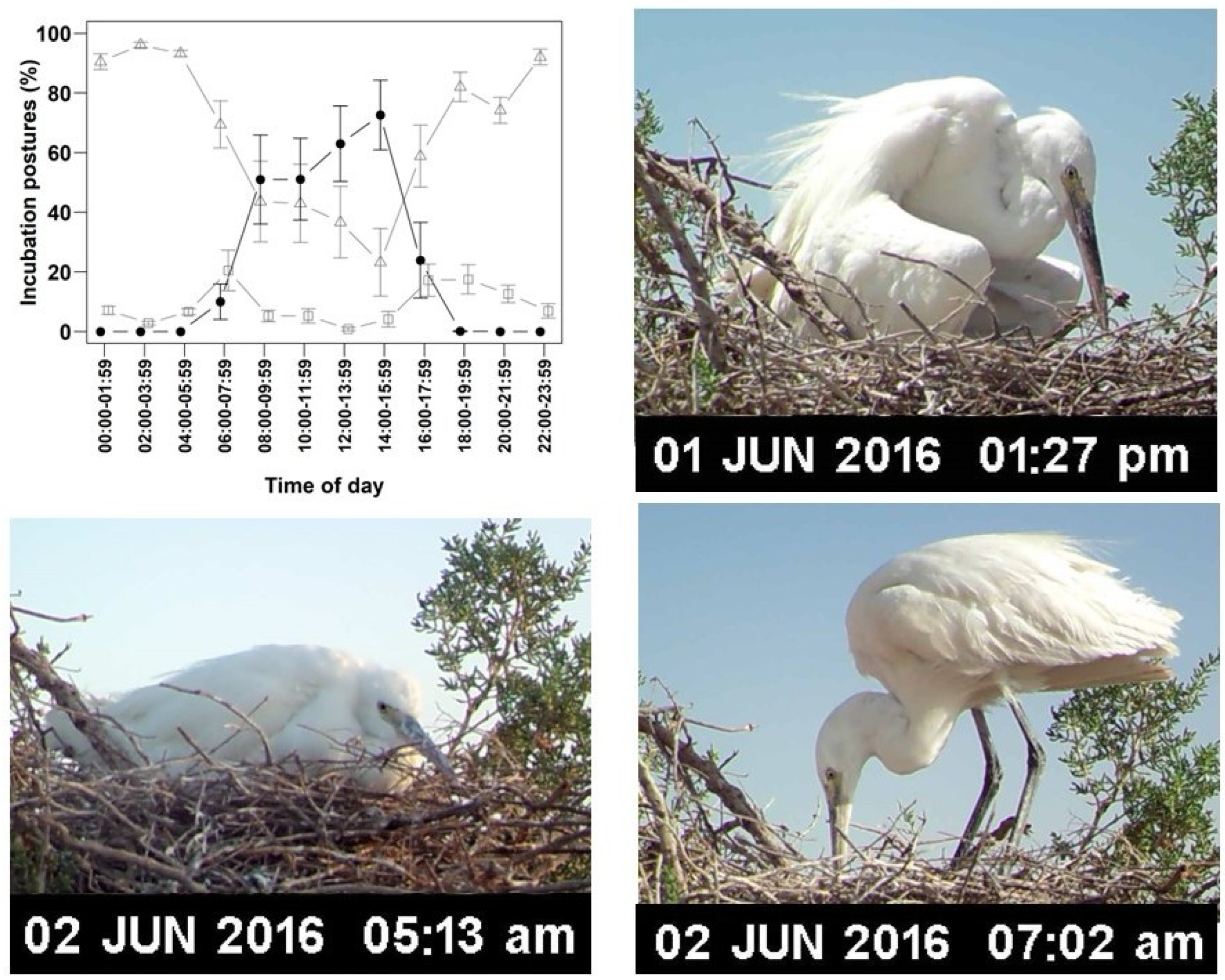 Life 15 01380 g003 Life 15 01380 g003