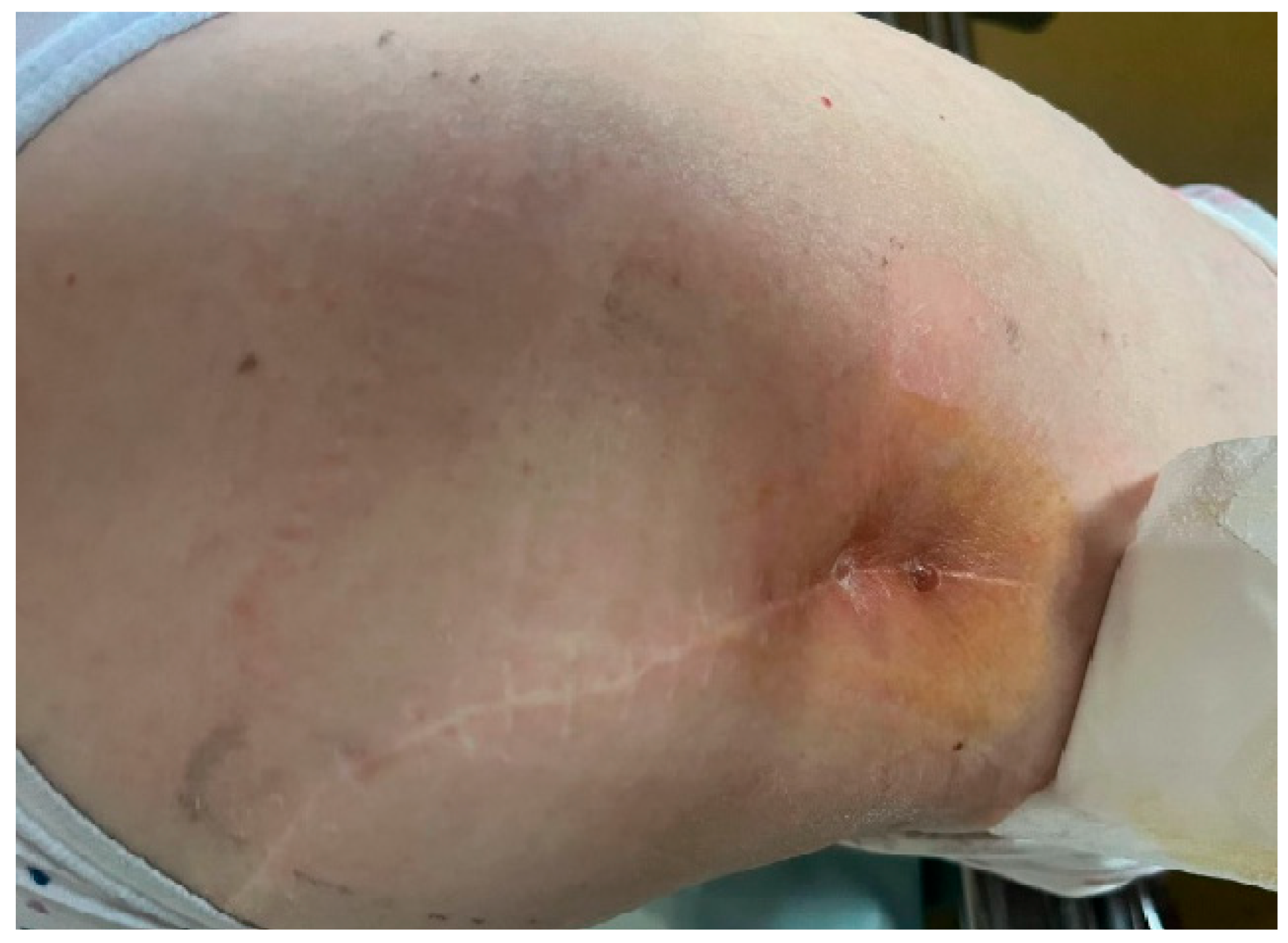 Life 15 01385 g001 Life 15 01385 g001