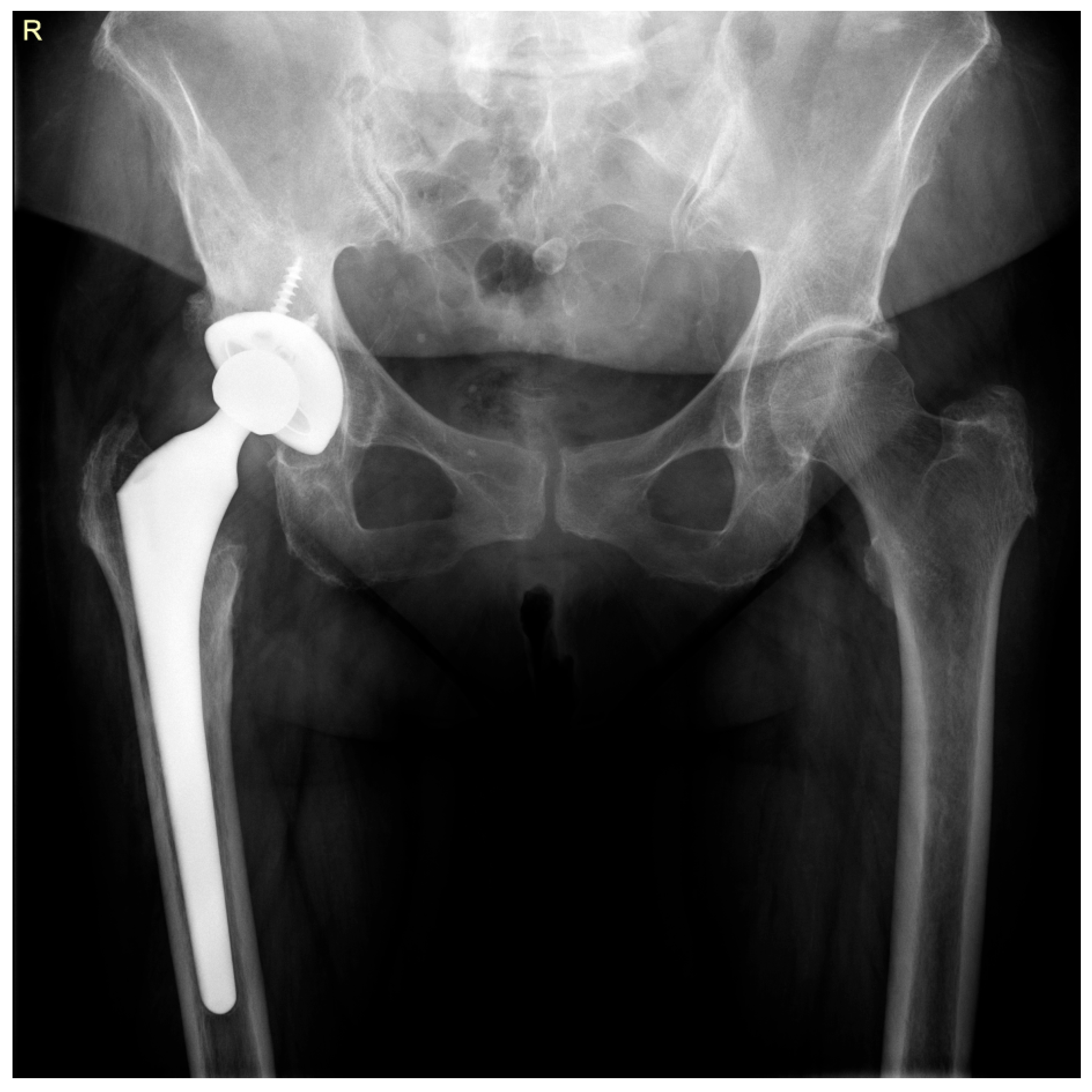 Life 15 01385 g002 Life 15 01385 g002