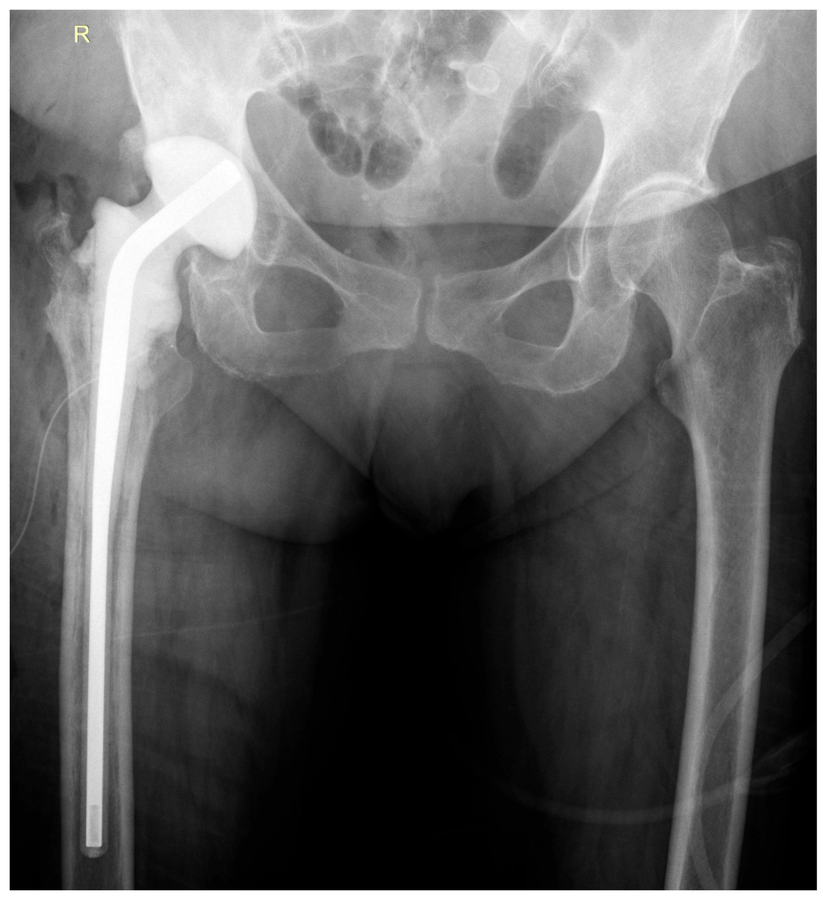 Life 15 01385 g003 Life 15 01385 g003