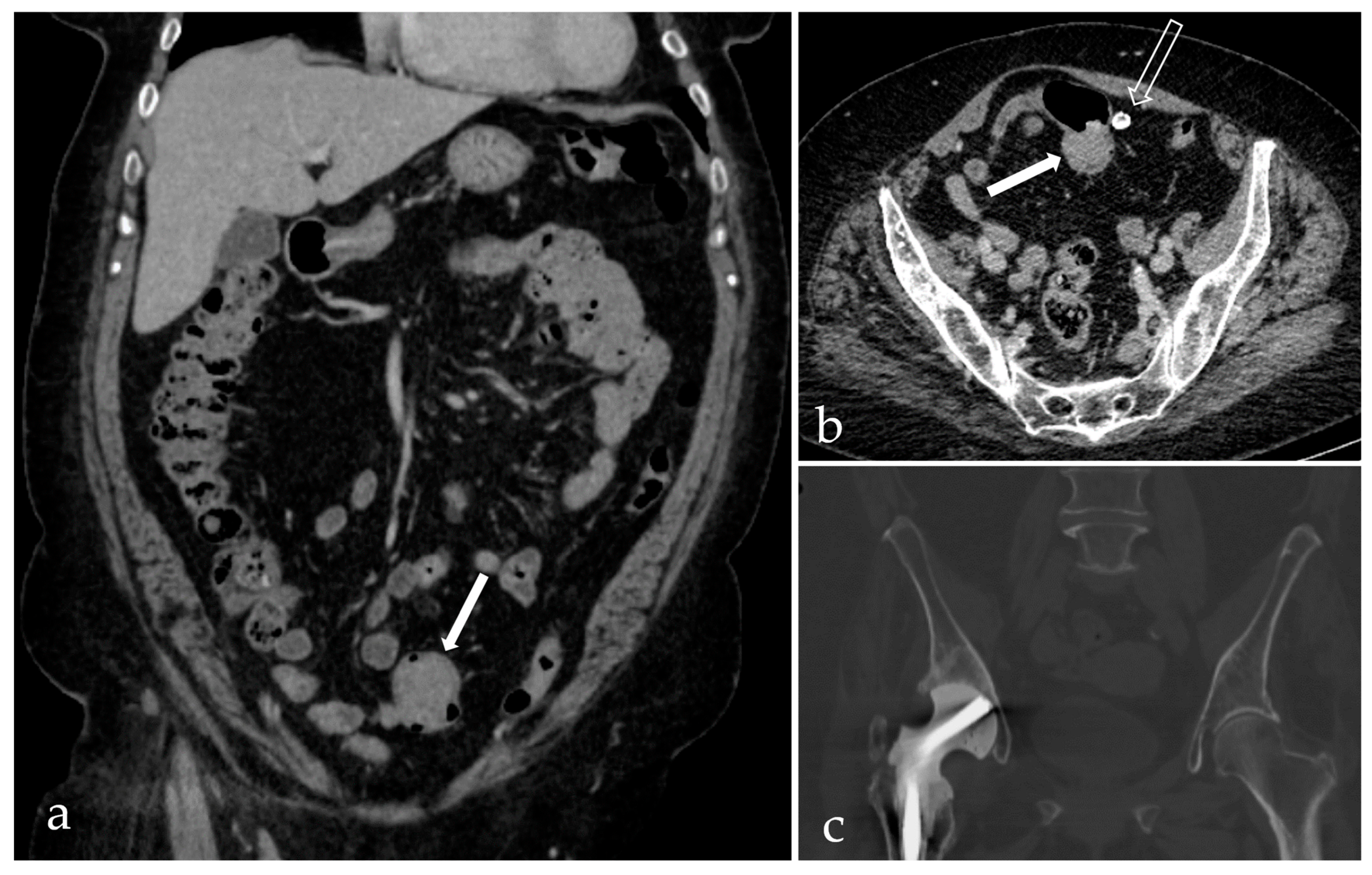 Life 15 01385 g004 Life 15 01385 g004