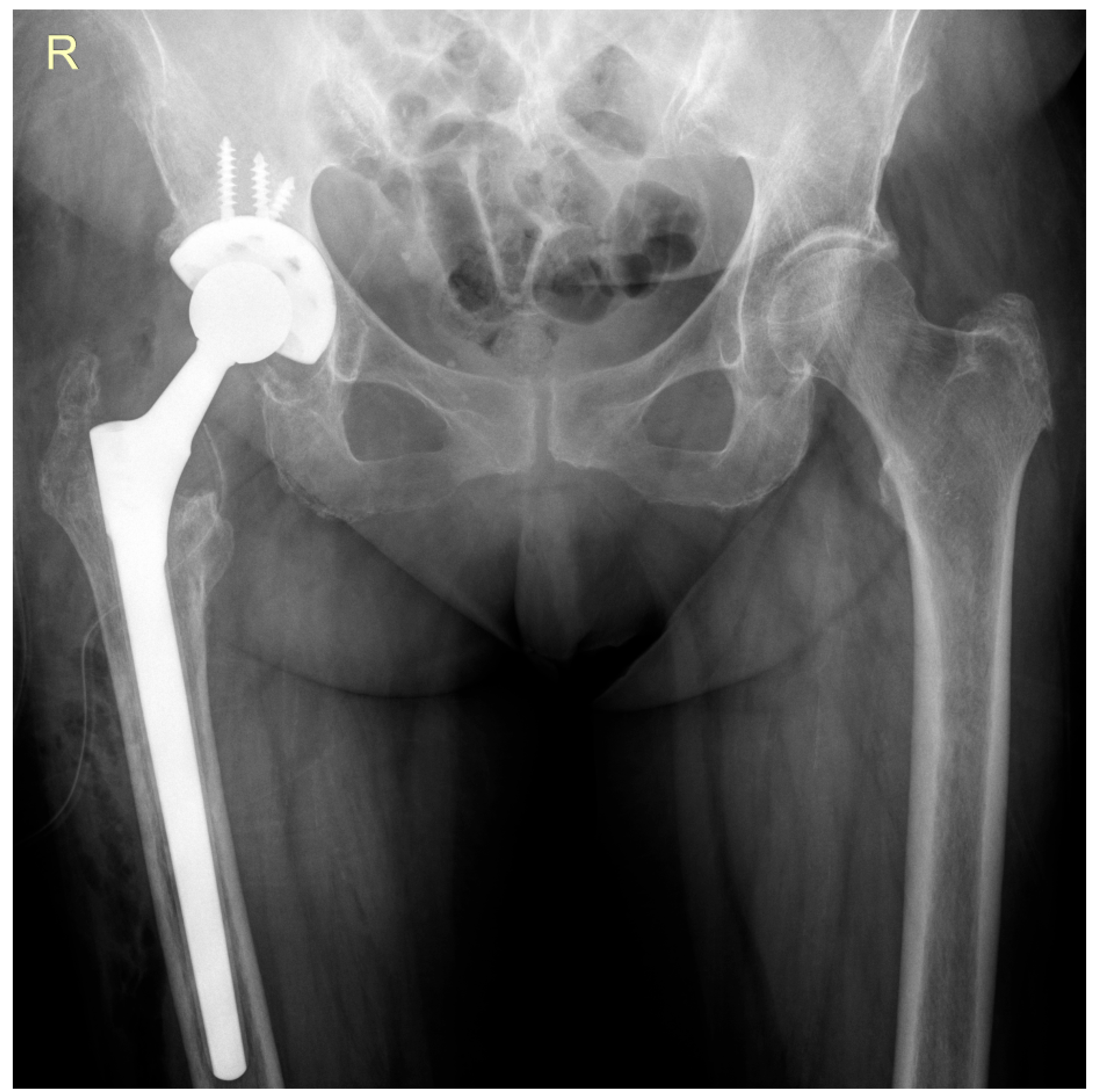 Life 15 01385 g006 Life 15 01385 g006