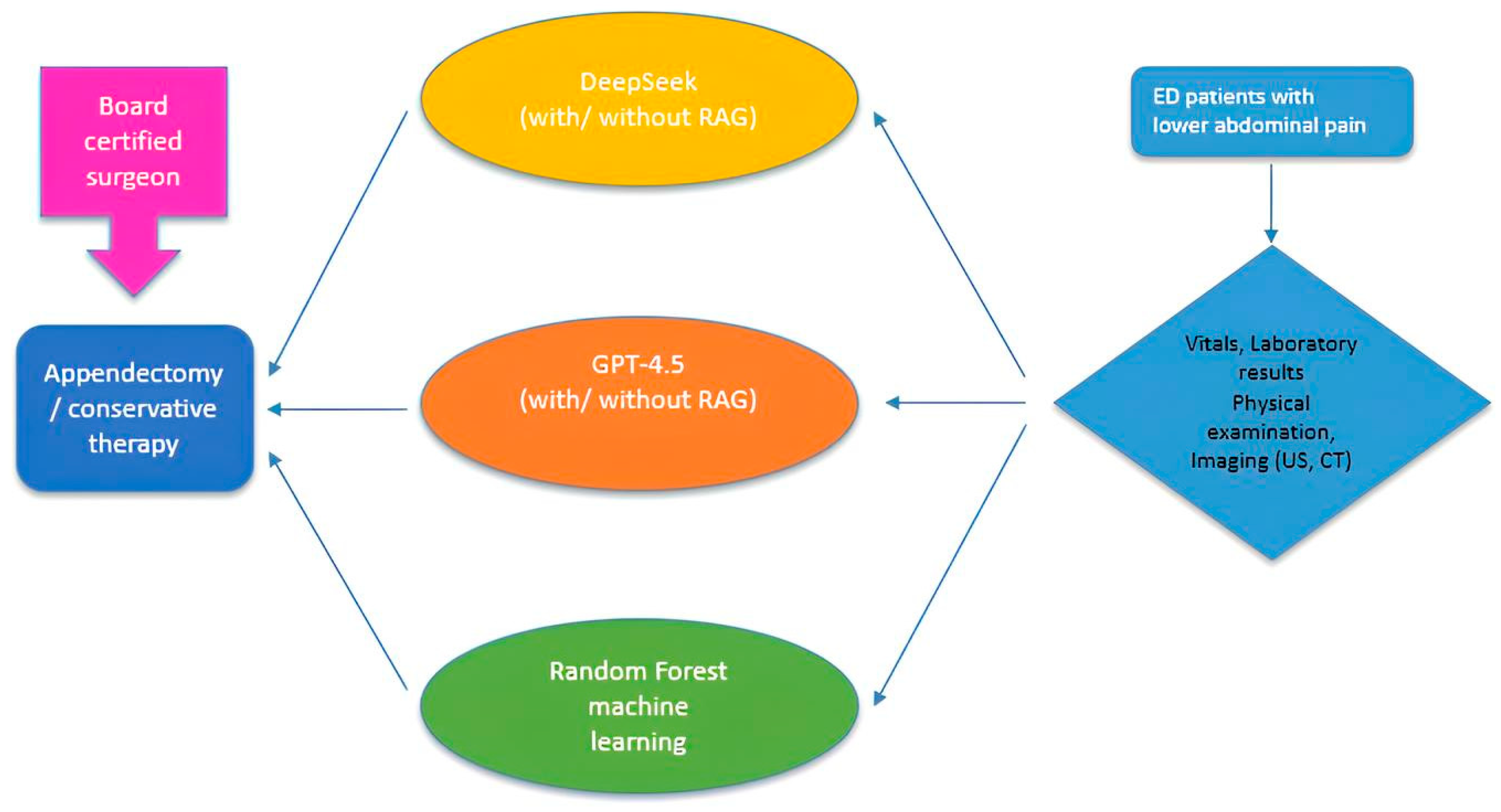 Life 15 01387 g001 Life 15 01387 g001