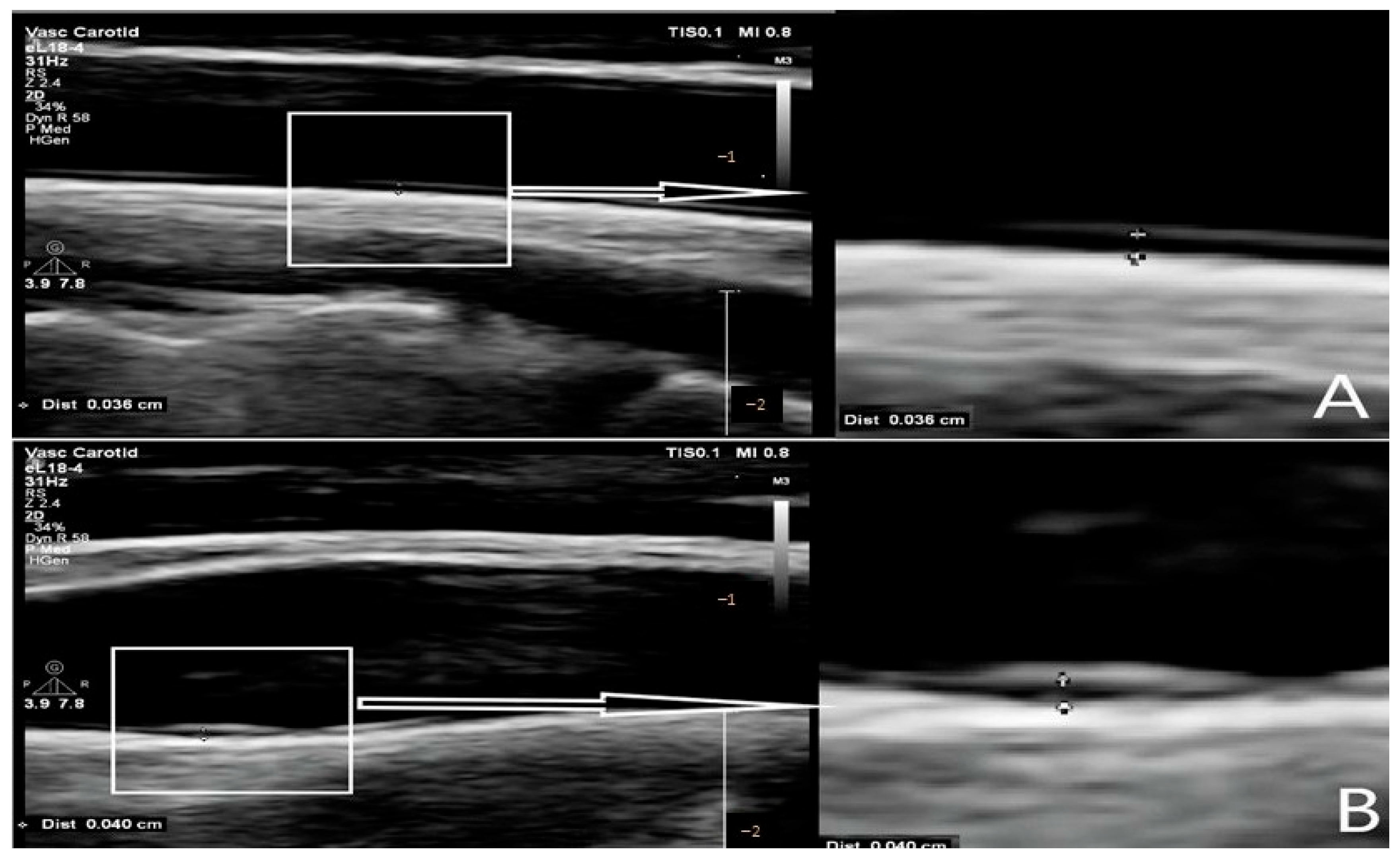 Life 15 01388 g001 Life 15 01388 g001