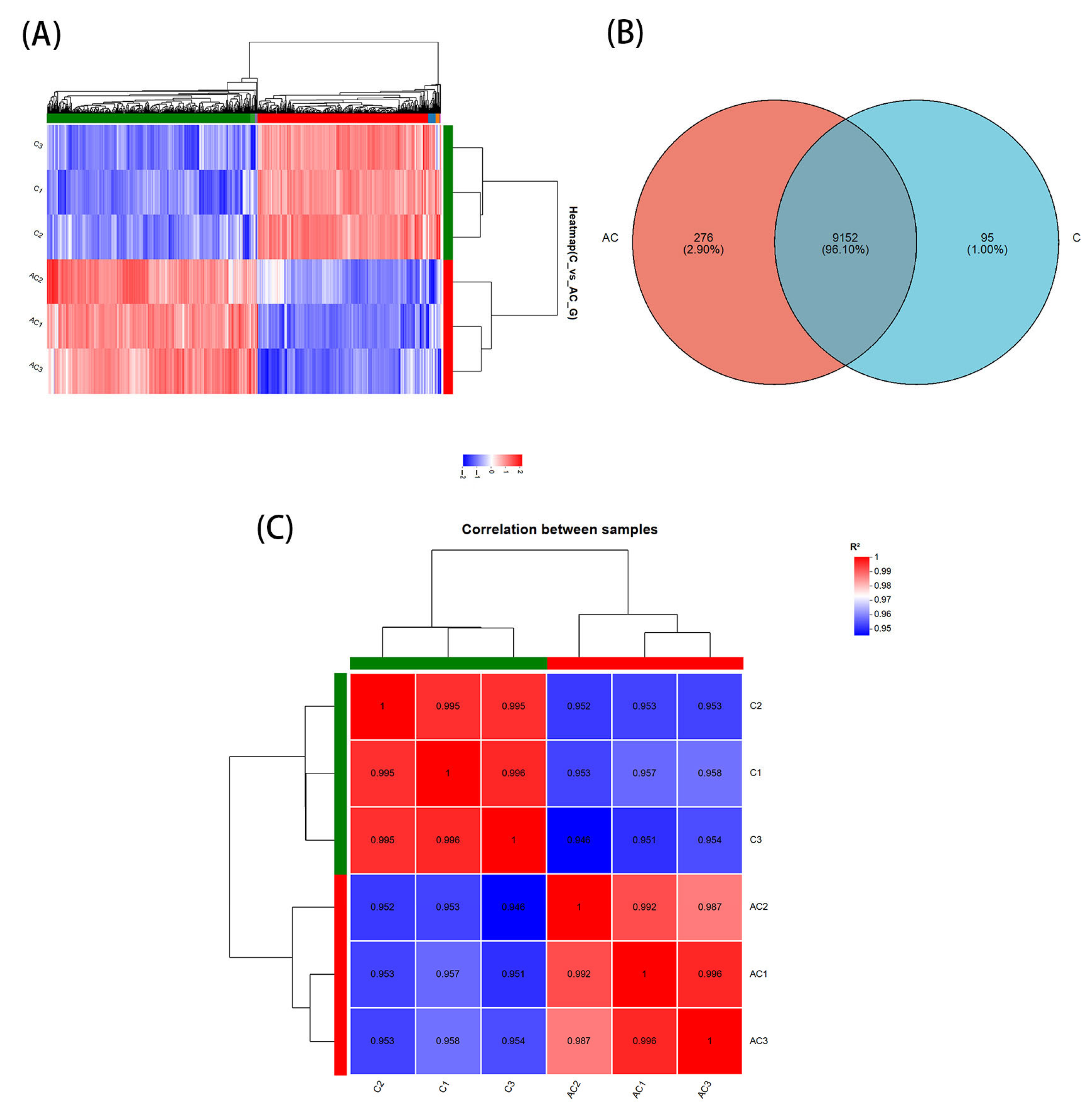 Life 15 01398 g003 Life 15 01398 g003