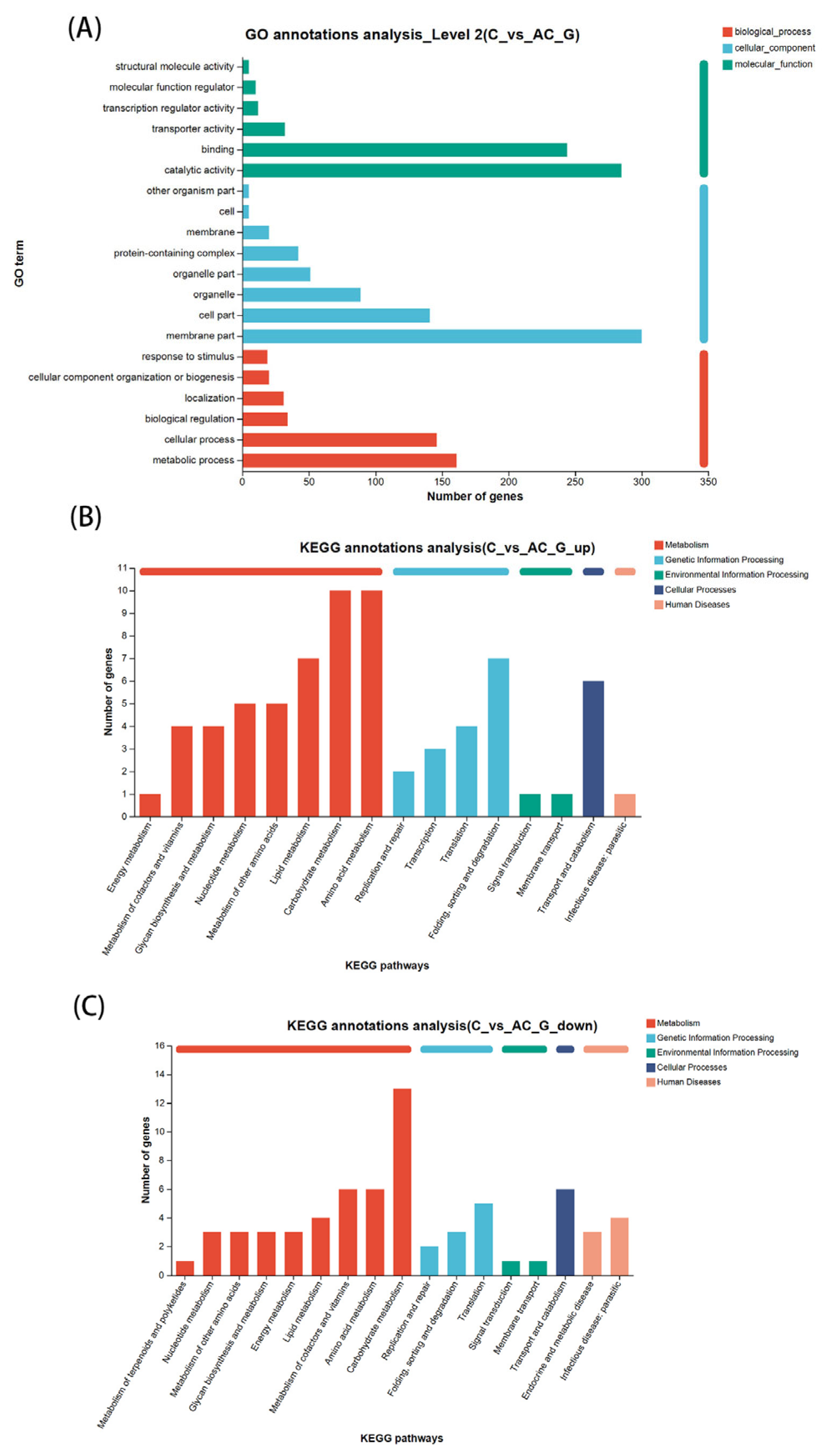Life 15 01398 g004 Life 15 01398 g004