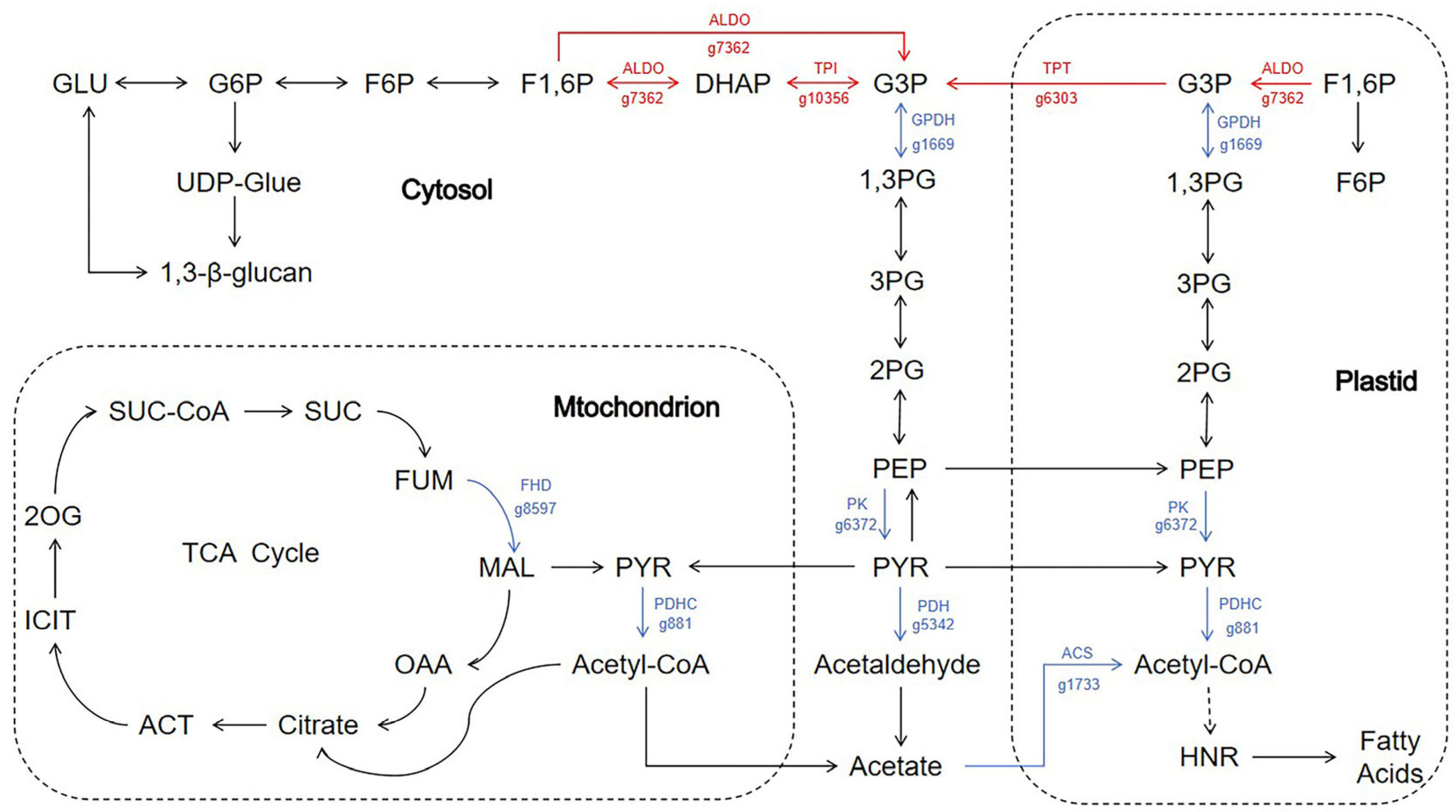Life 15 01398 g006 Life 15 01398 g006