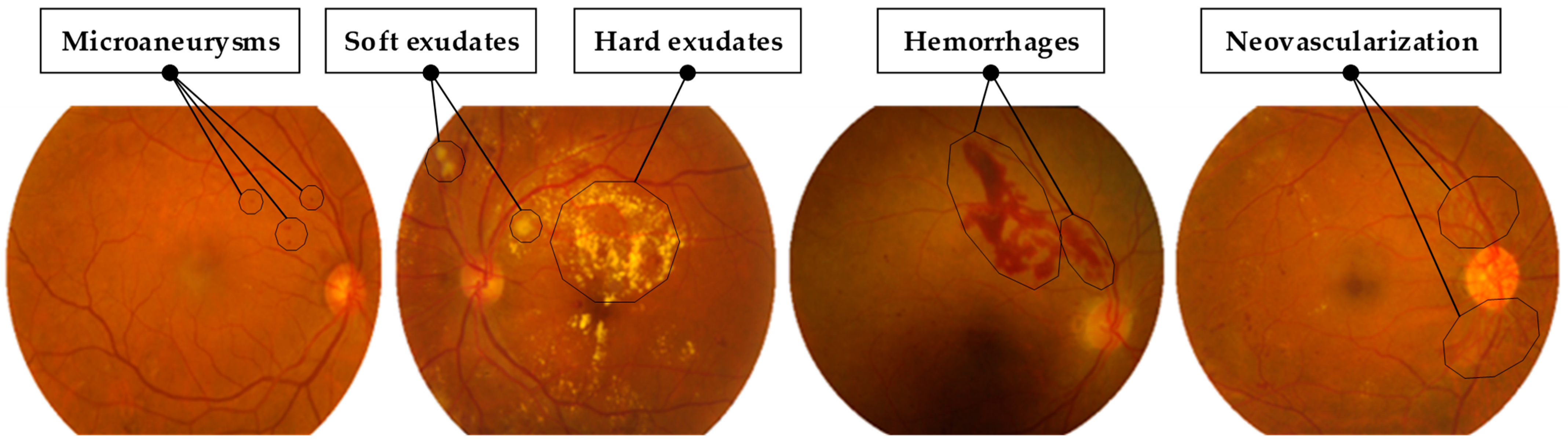Life 15 01411 g001 Life 15 01411 g001