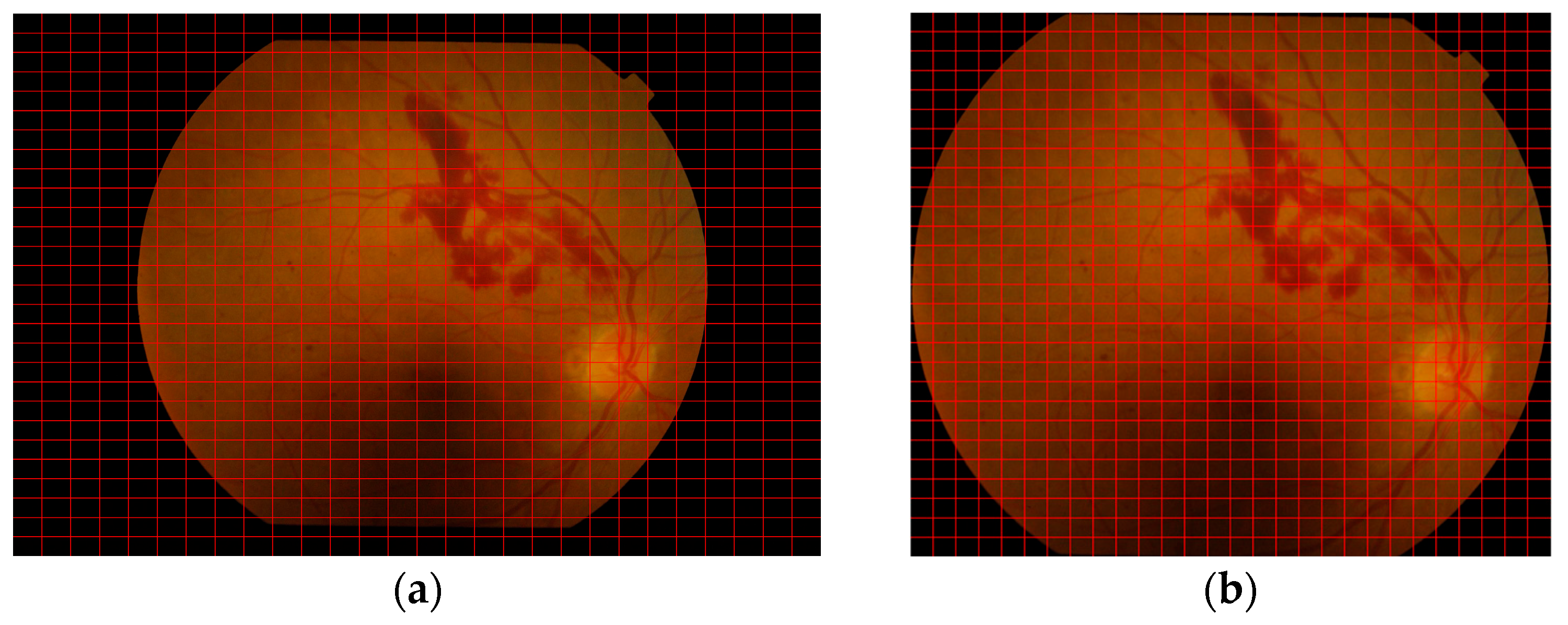 Life 15 01411 g004 Life 15 01411 g004