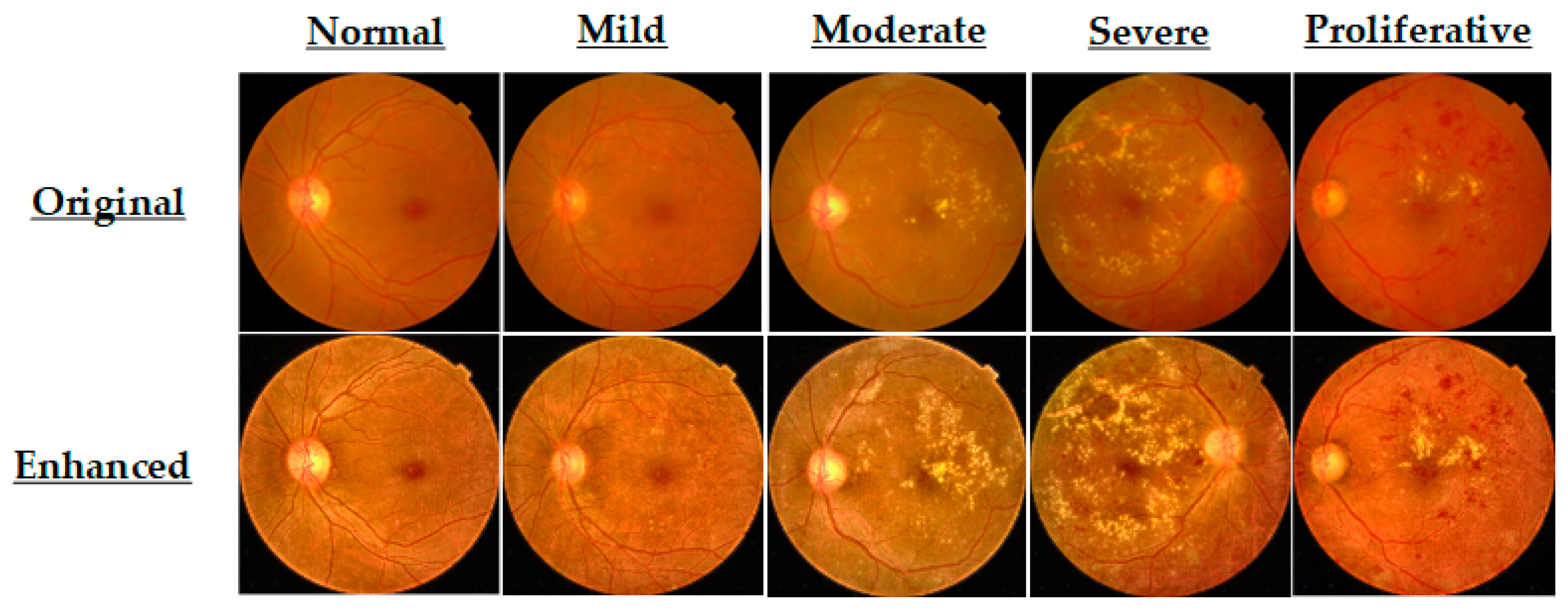 Life 15 01411 g006 Life 15 01411 g006