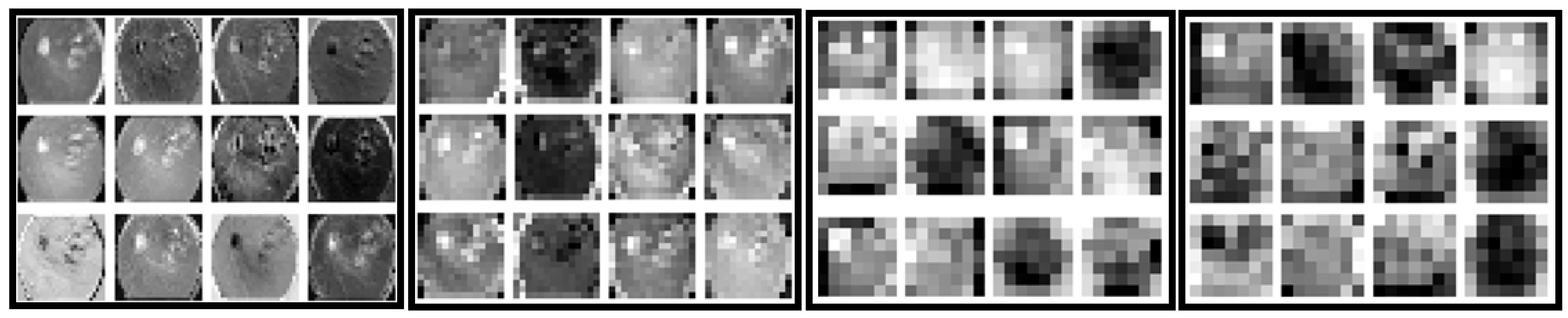 Life 15 01411 g014 Life 15 01411 g014