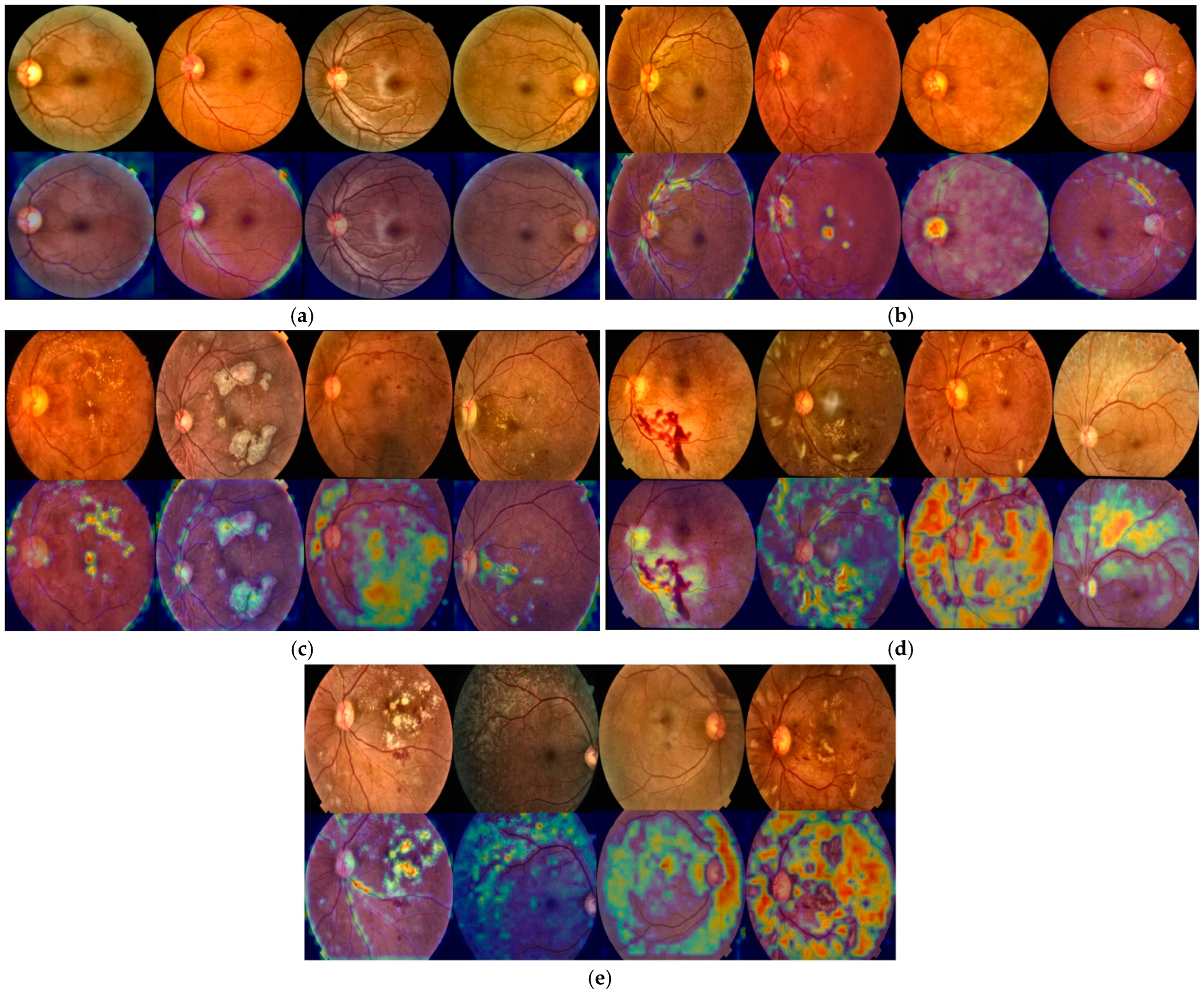 Life 15 01411 g020 Life 15 01411 g020