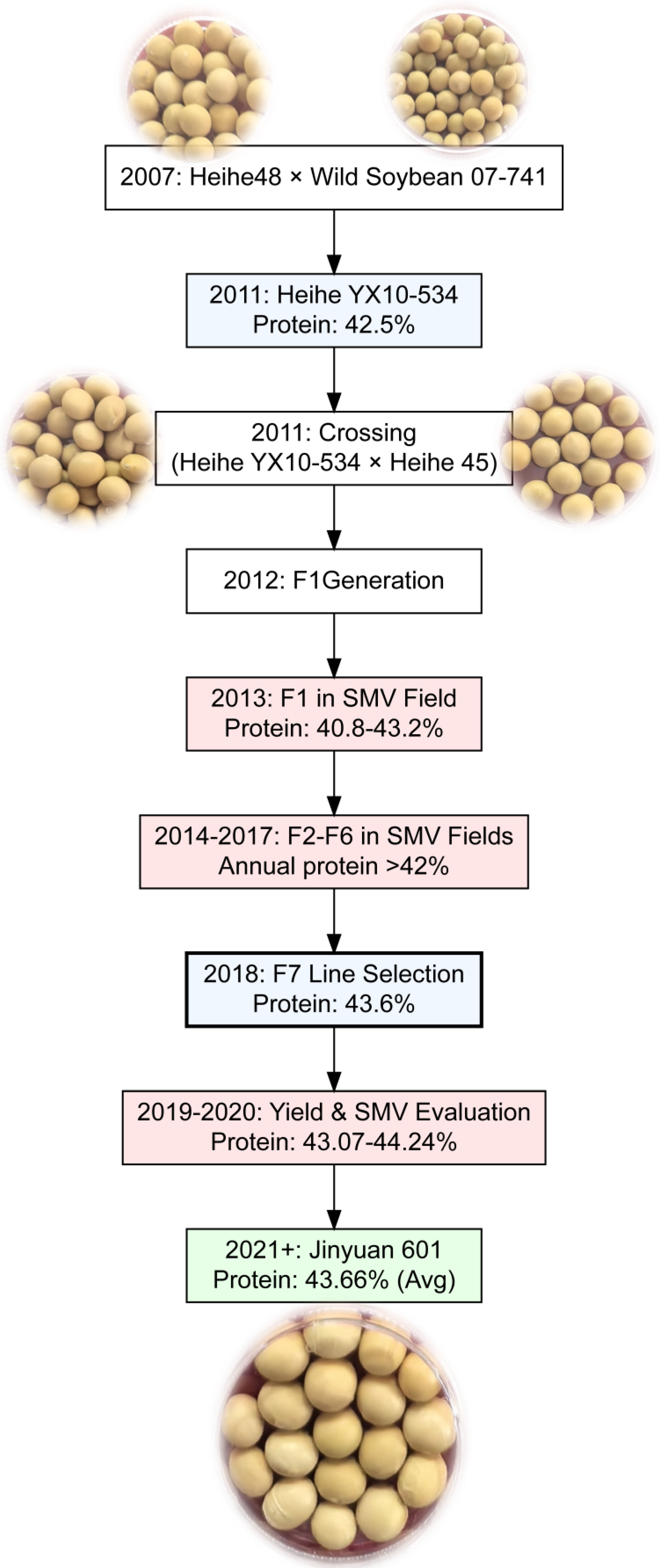 Life 15 01414 g001 Life 15 01414 g001