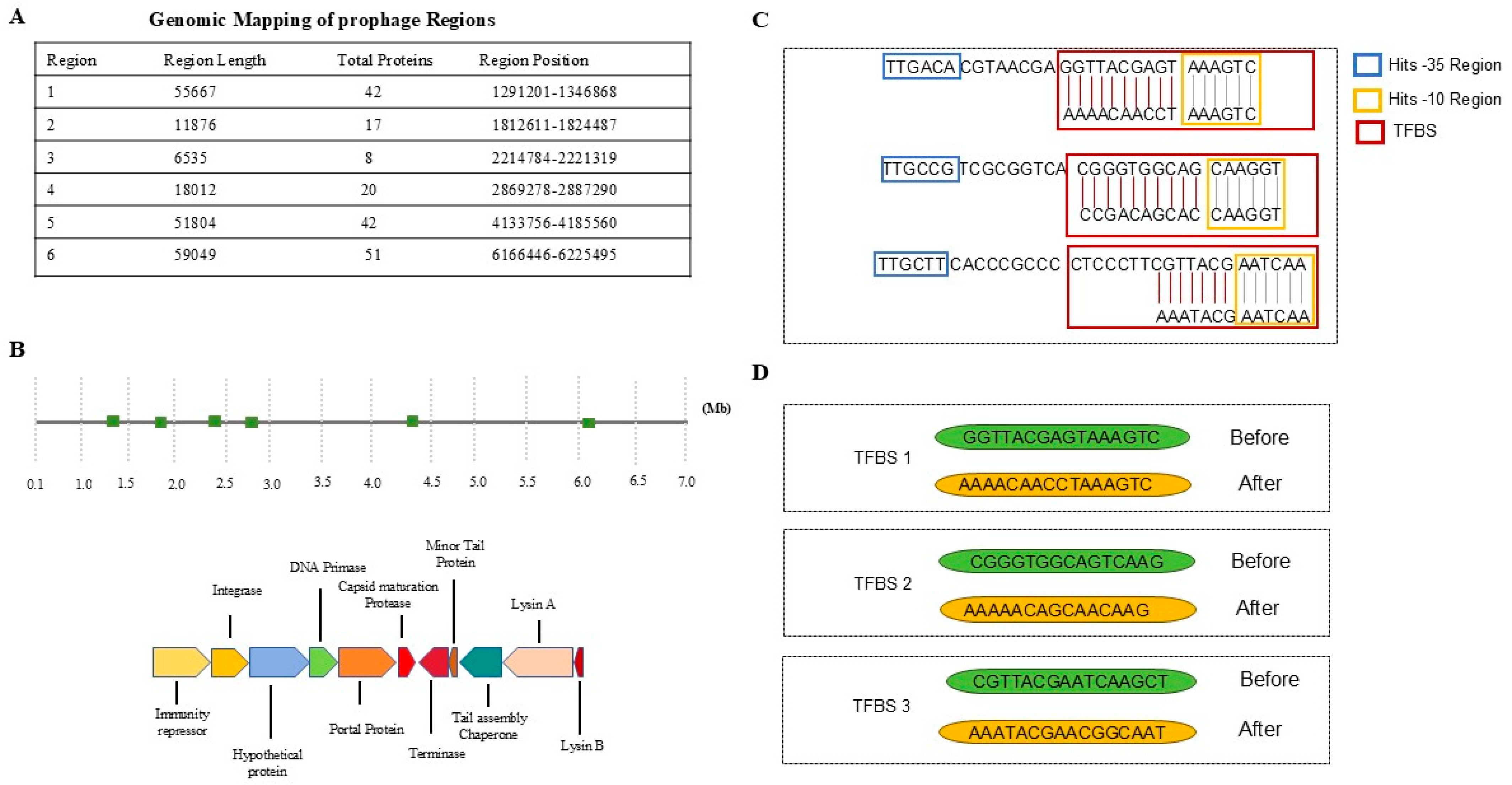 Life 15 01417 g001 Life 15 01417 g001