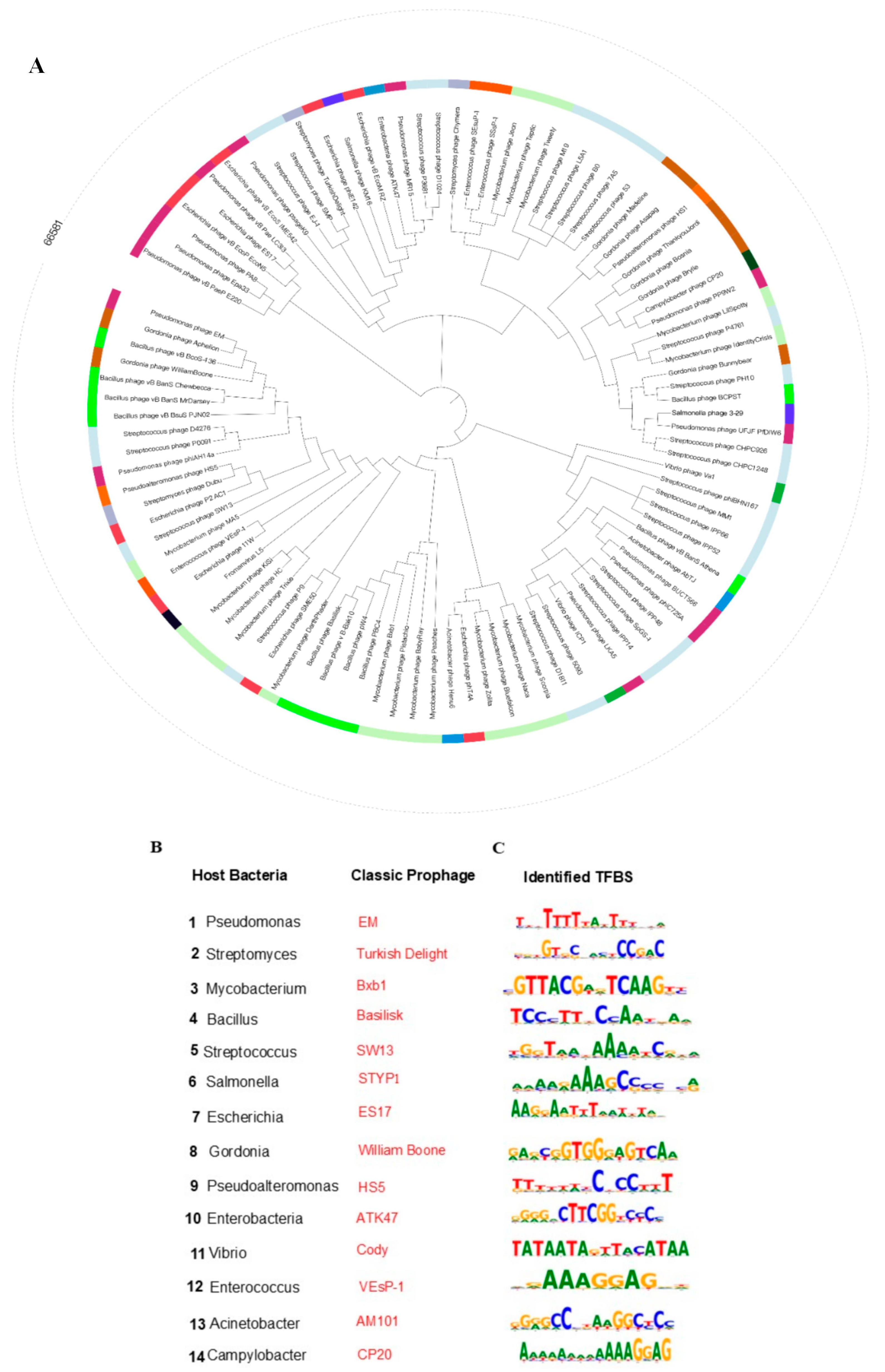 Life 15 01417 g002 Life 15 01417 g002