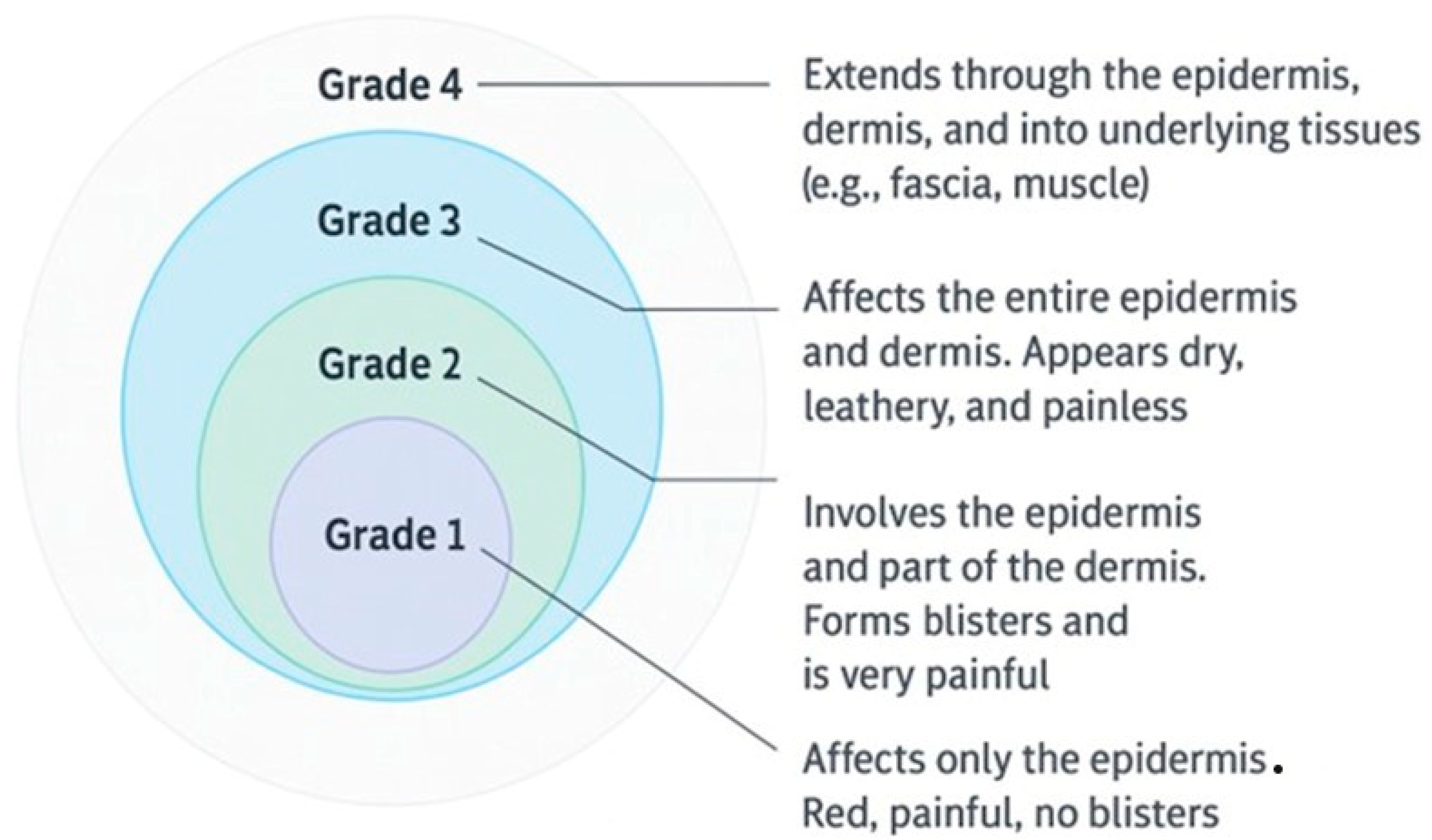 Life 15 01434 g002 Life 15 01434 g002